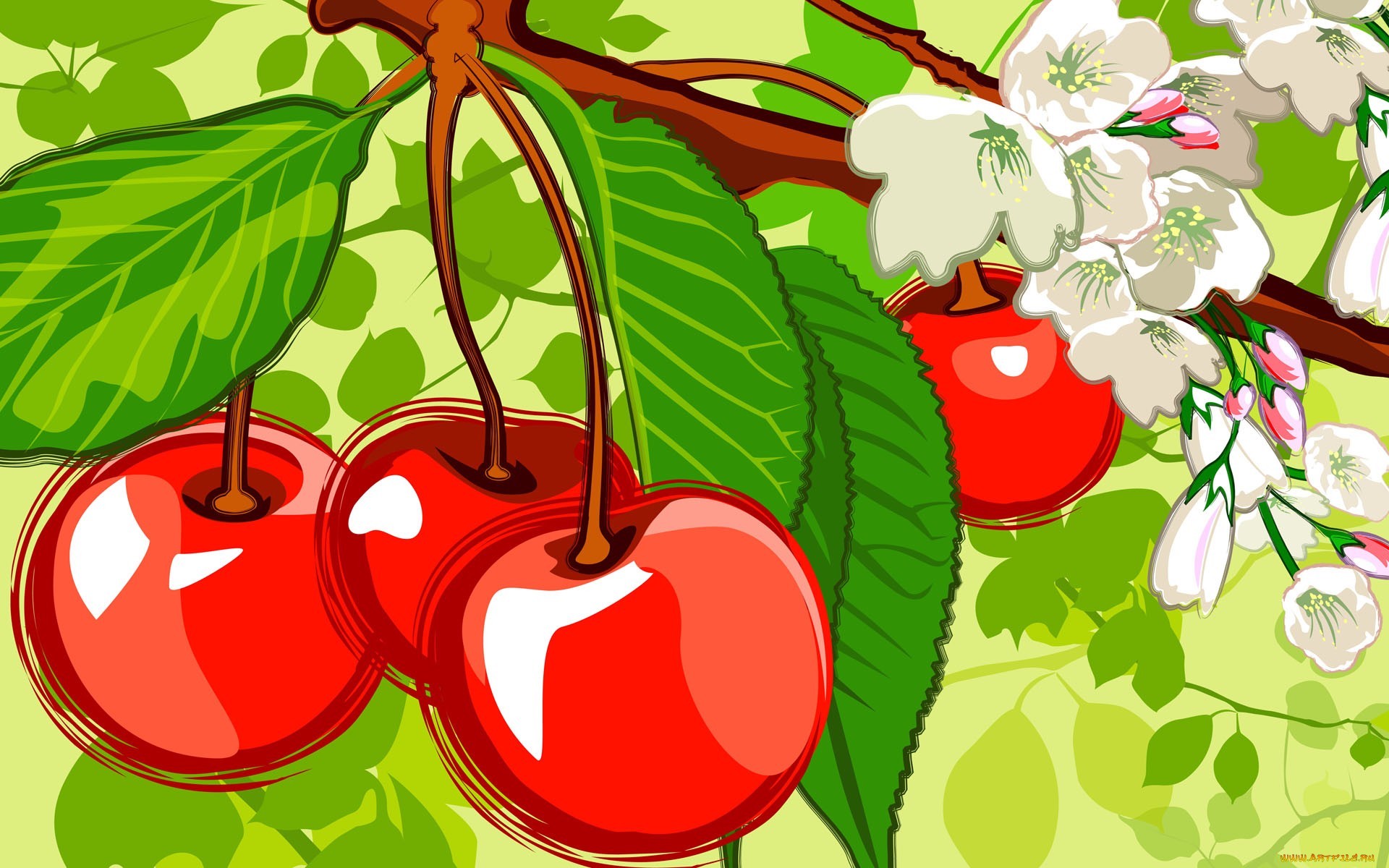 Laden Sie das Kirsche, Lebensmittel, Berries, Bilder-Bild kostenlos auf Ihren PC-Desktop herunter