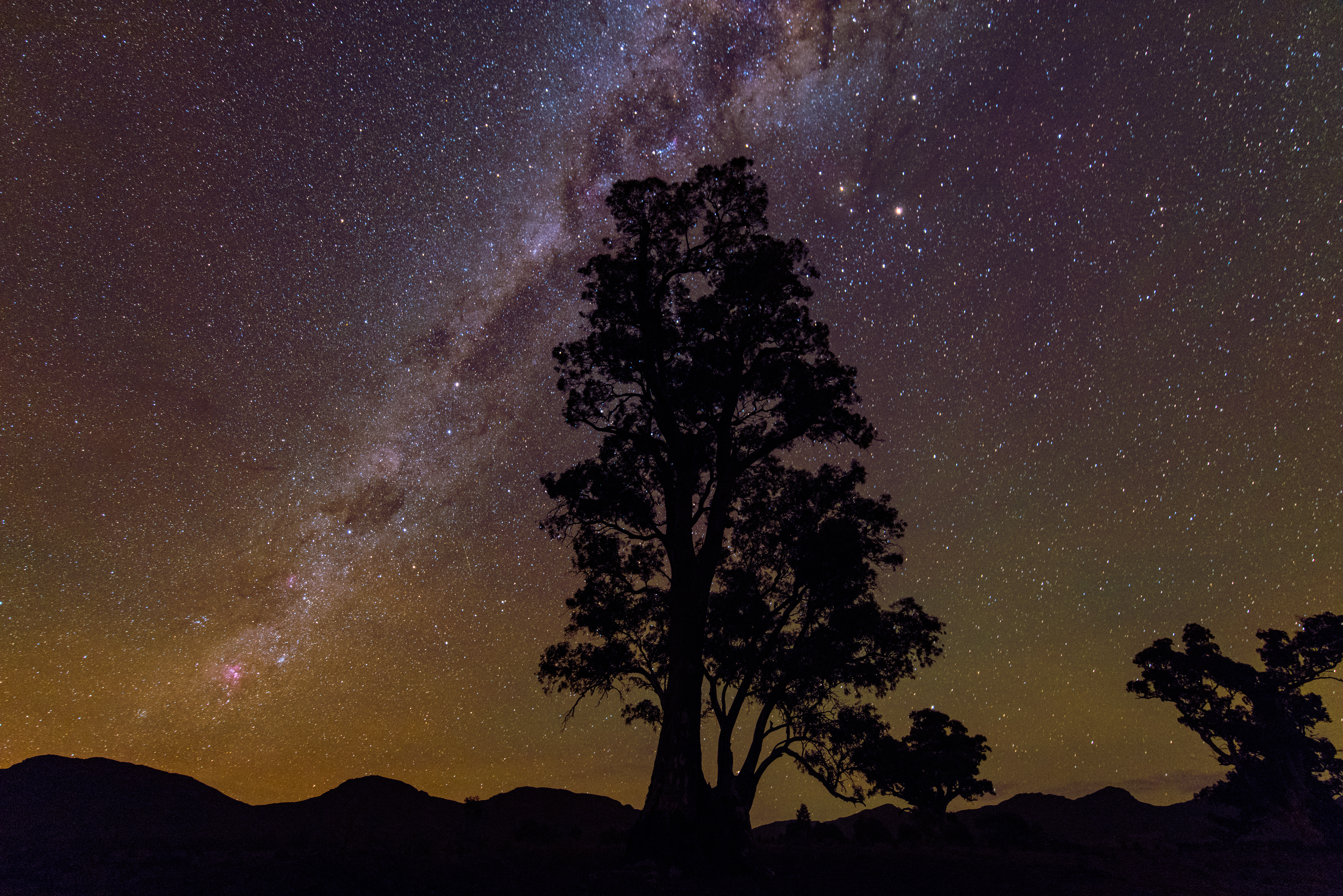Laden Sie das Bäume, Sterne, Silhouette, Baum, Milchstraße, Nacht, Erde/natur-Bild kostenlos auf Ihren PC-Desktop herunter