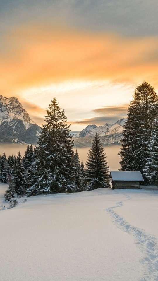 Download mobile wallpaper Winter, Snow, Mountain, Forest, Tree, Hut, Photography, Pine Tree for free.