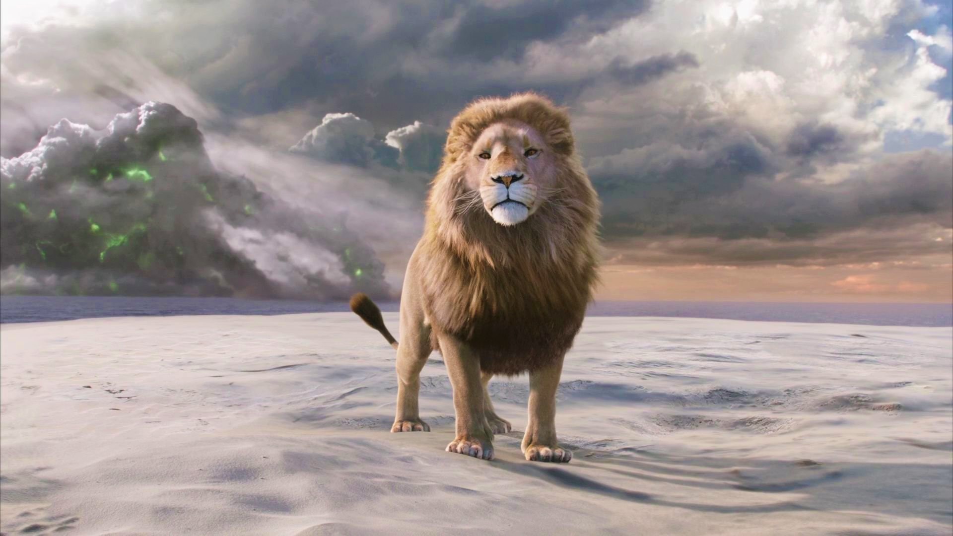 Meilleurs fonds d'écran Les Chroniques De Narnia : Le Lion La Sorcière Et L'armoire Magique pour l'écran du téléphone