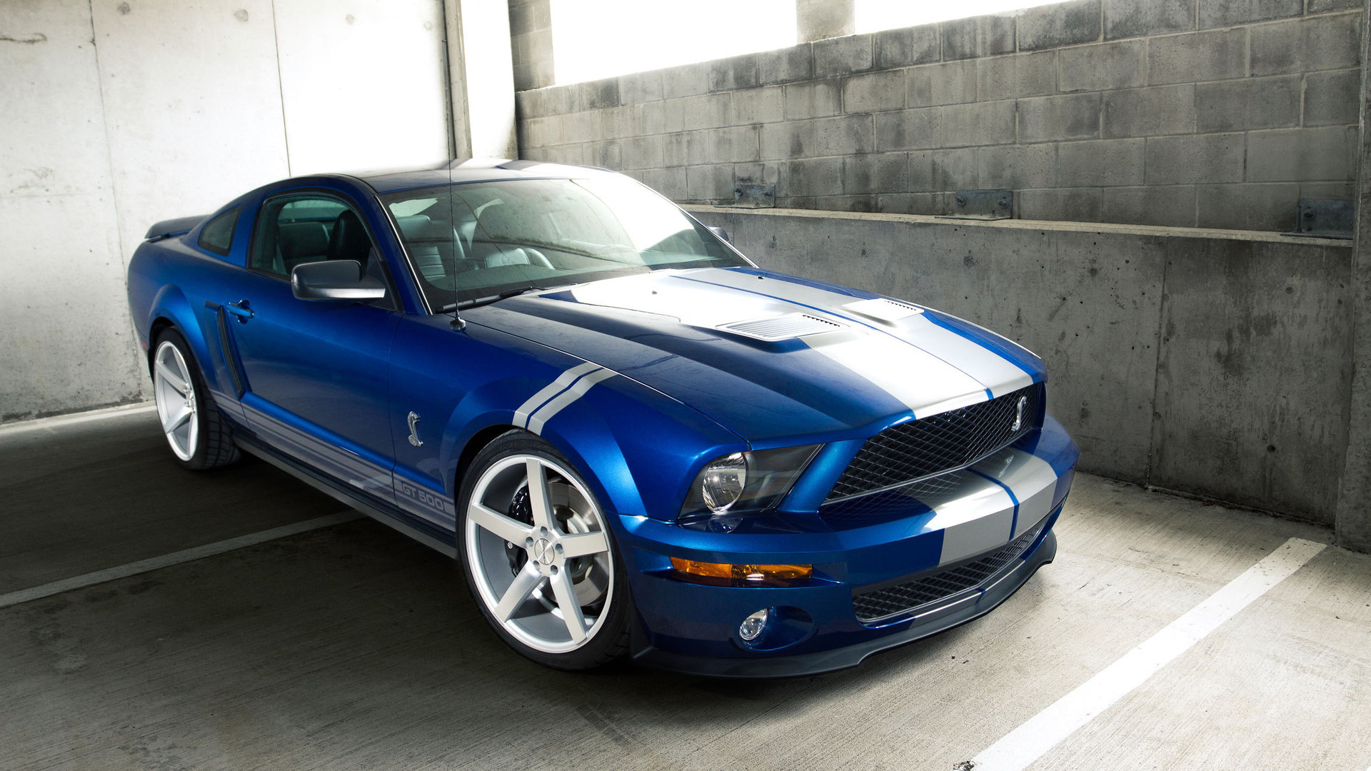 vehicles, ford mustang gt500