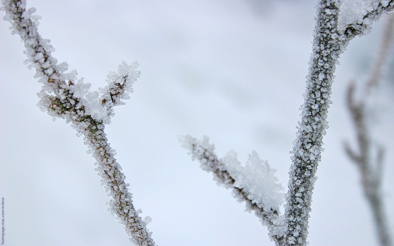 Descarga gratis la imagen Invierno, Tierra/naturaleza en el escritorio de tu PC