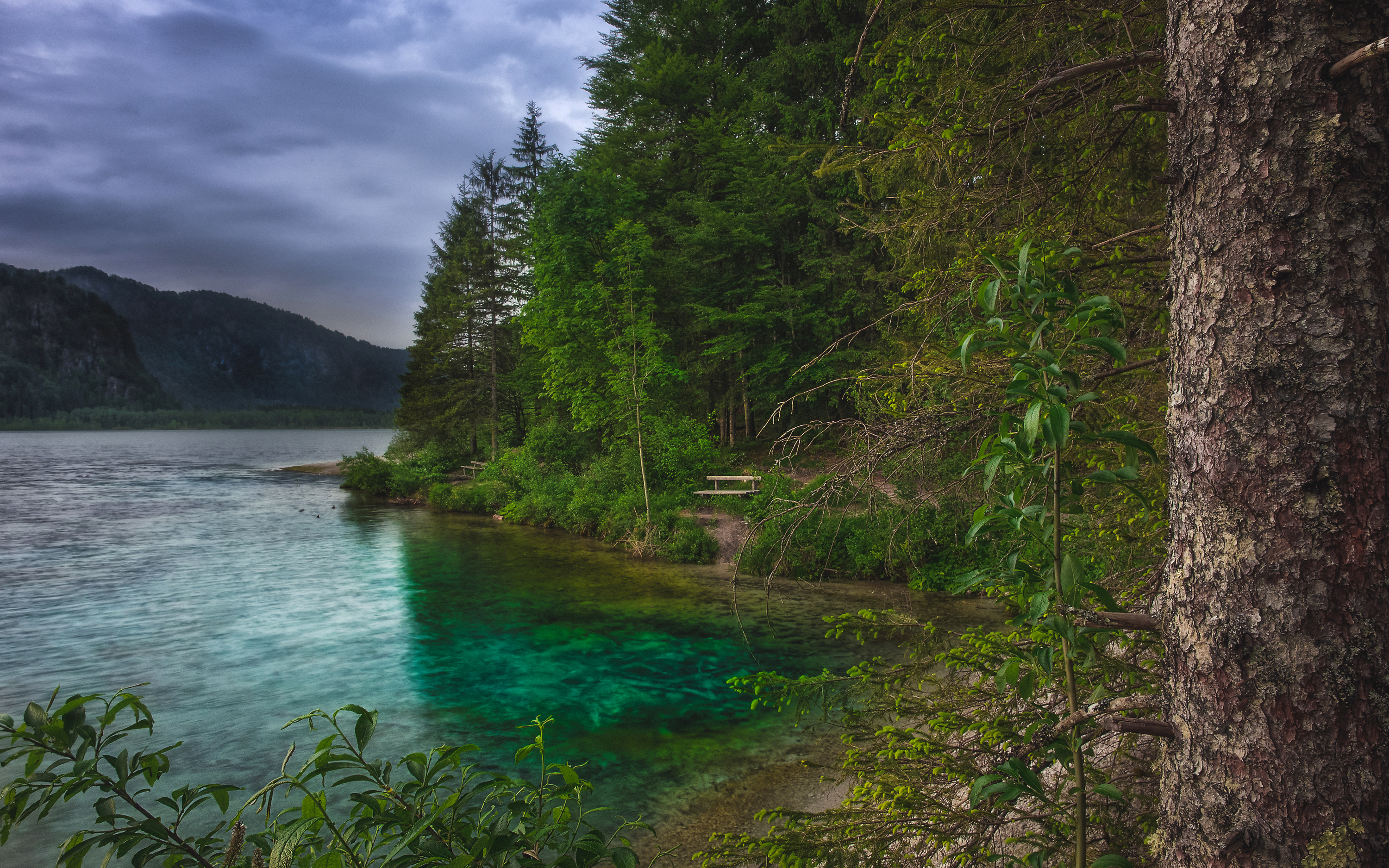 Скачать картинку Озера, Озеро, Дерево, Зеленый, Земля/природа в телефон бесплатно.