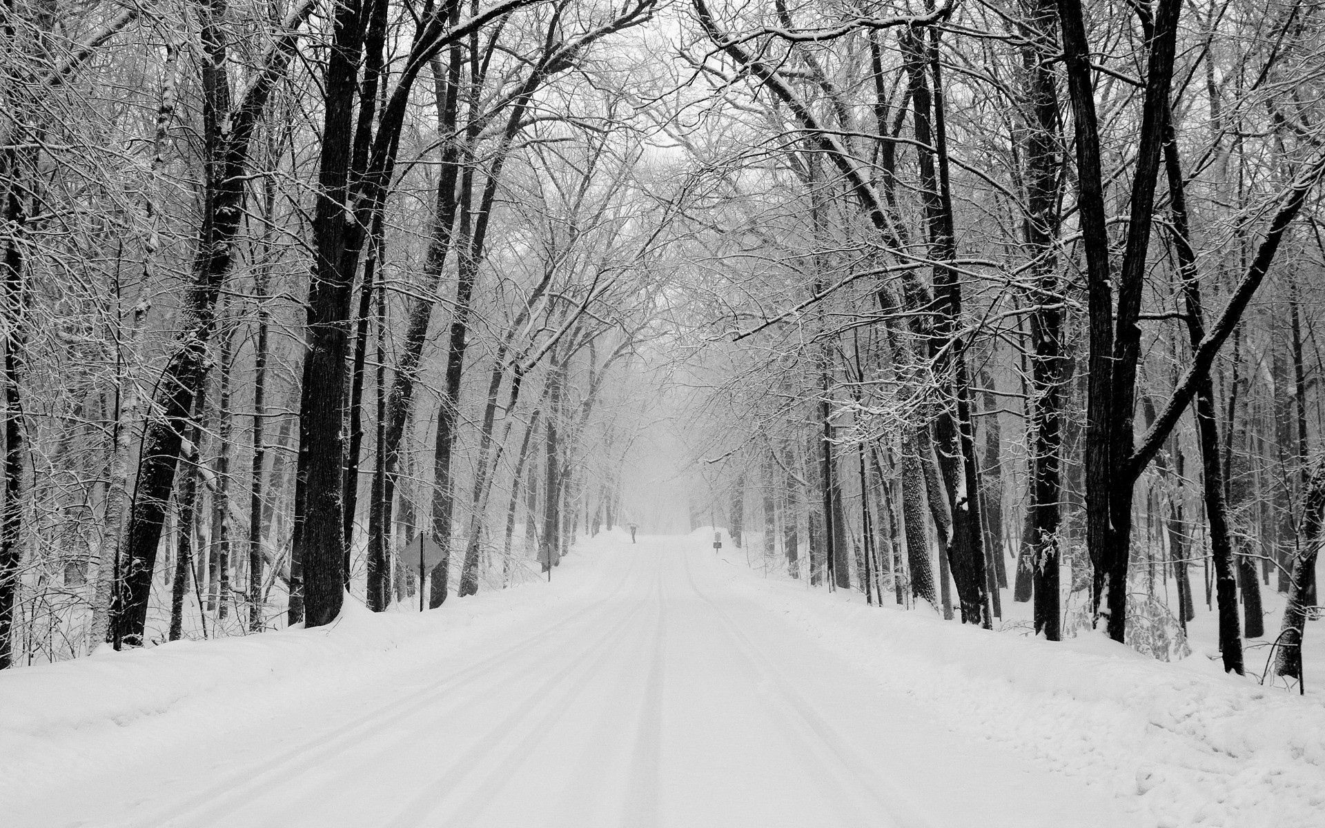 road, snow, park, winter, nature, trees