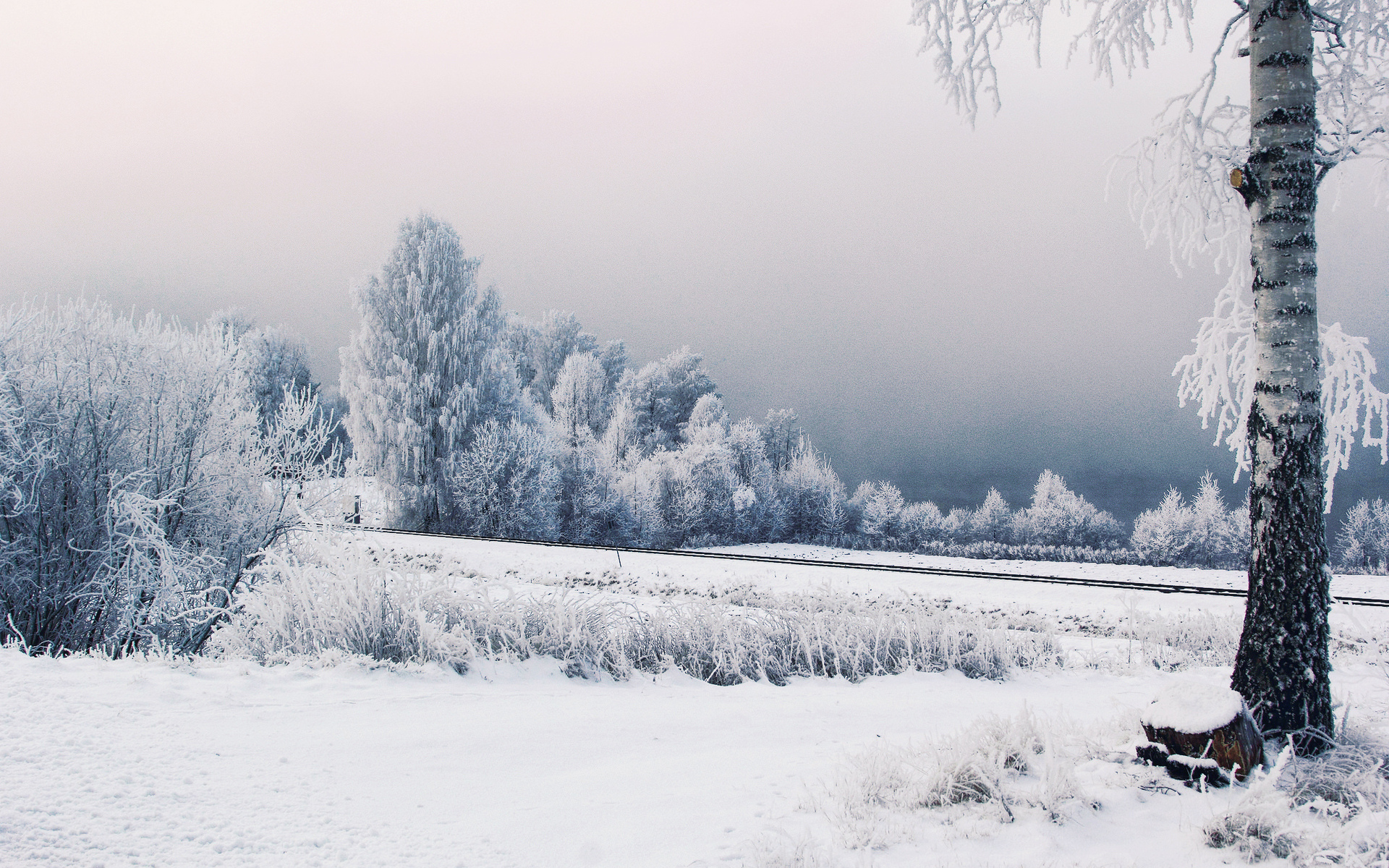 Baixar papel de parede para celular de Inverno, Neve, Árvore, Terra/natureza gratuito.