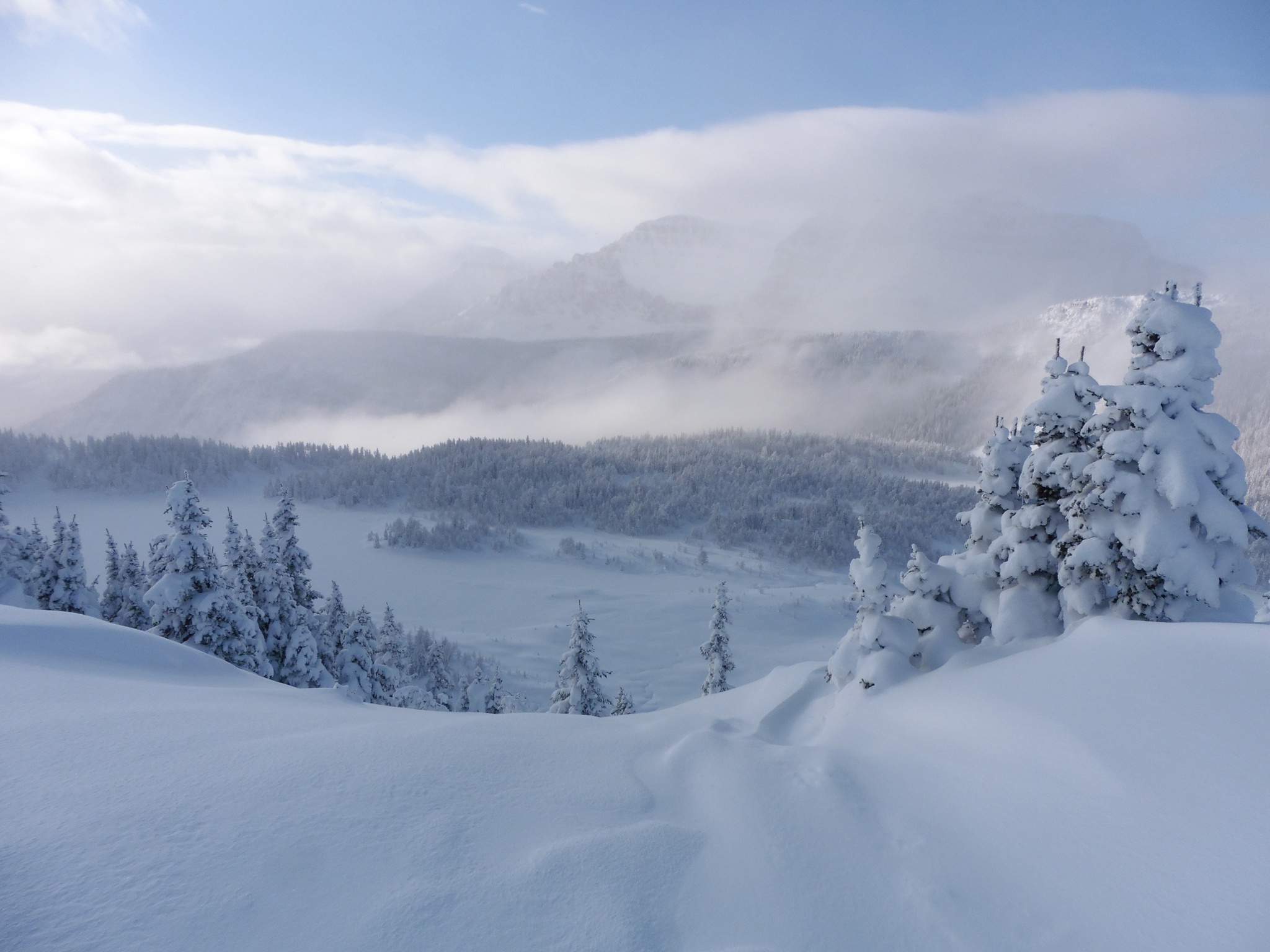Baixe gratuitamente a imagem Inverno, Neve, Montanha, Canadá, Abeto, Alberta, Montanhas Rochosas, Terra/natureza, Parque Nacional De Banff na área de trabalho do seu PC