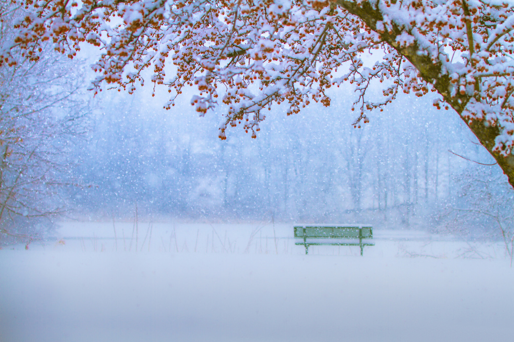 Téléchargez gratuitement l'image Hiver, Photographie sur le bureau de votre PC