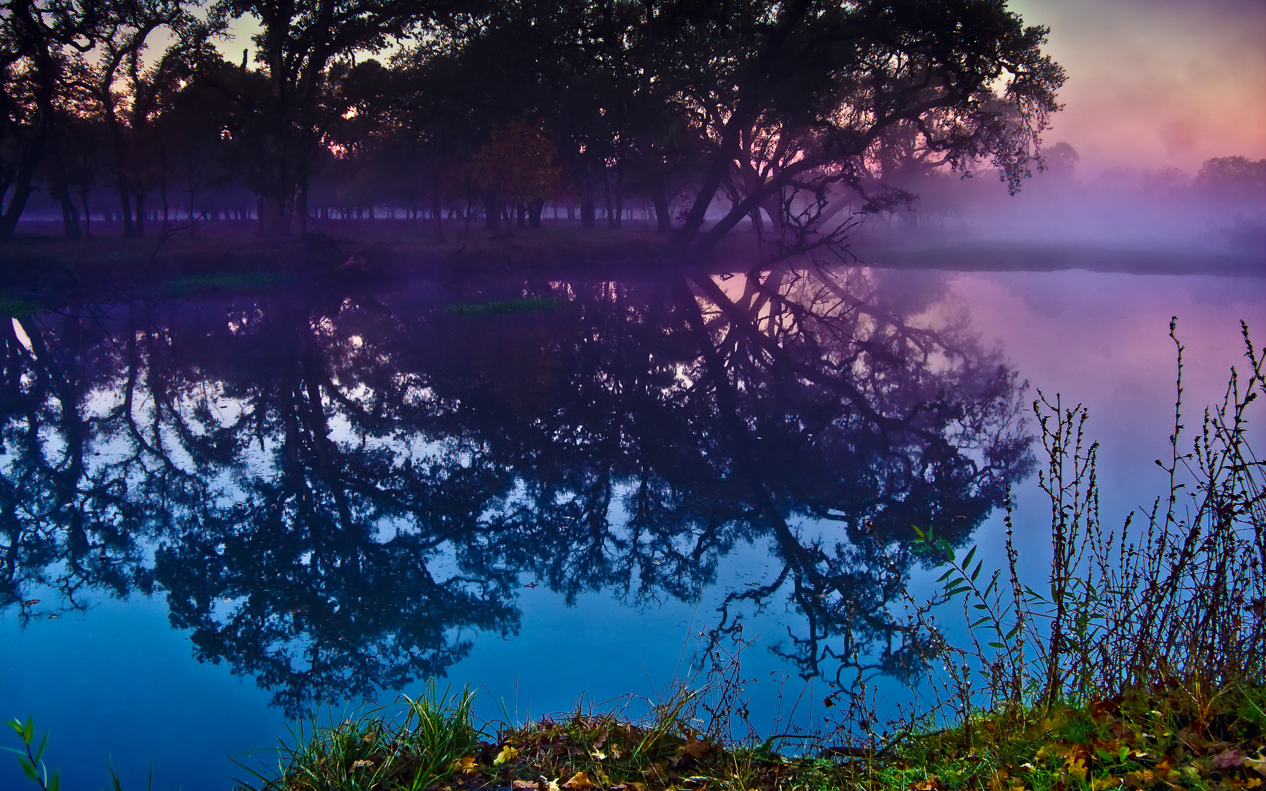 Baixe gratuitamente a imagem Água, Árvore, Lagoa, Terra/natureza, Reflecção na área de trabalho do seu PC