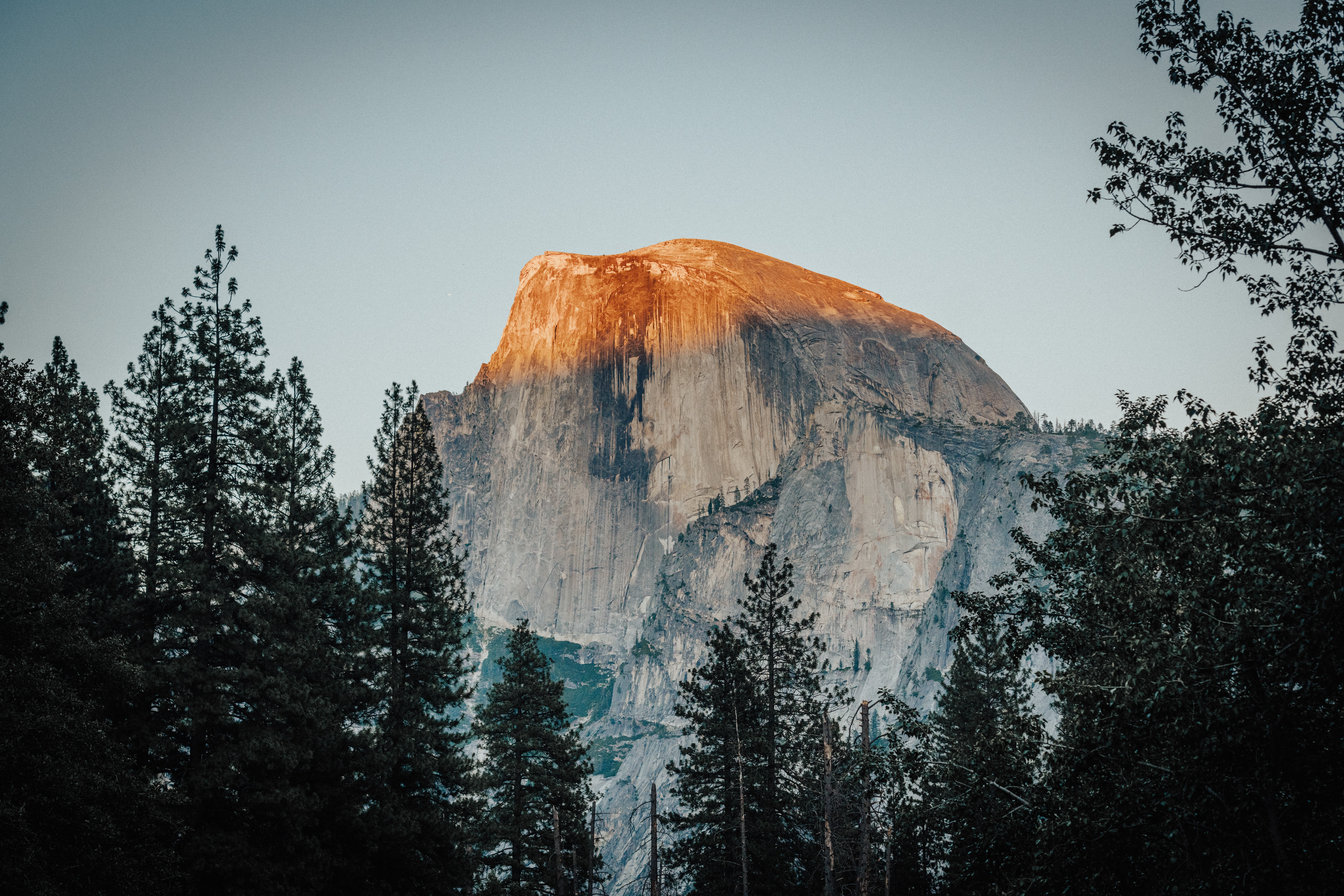 1535343 économiseurs d'écran et fonds d'écran Parc National De Yosemite sur votre téléphone. Téléchargez  images gratuitement