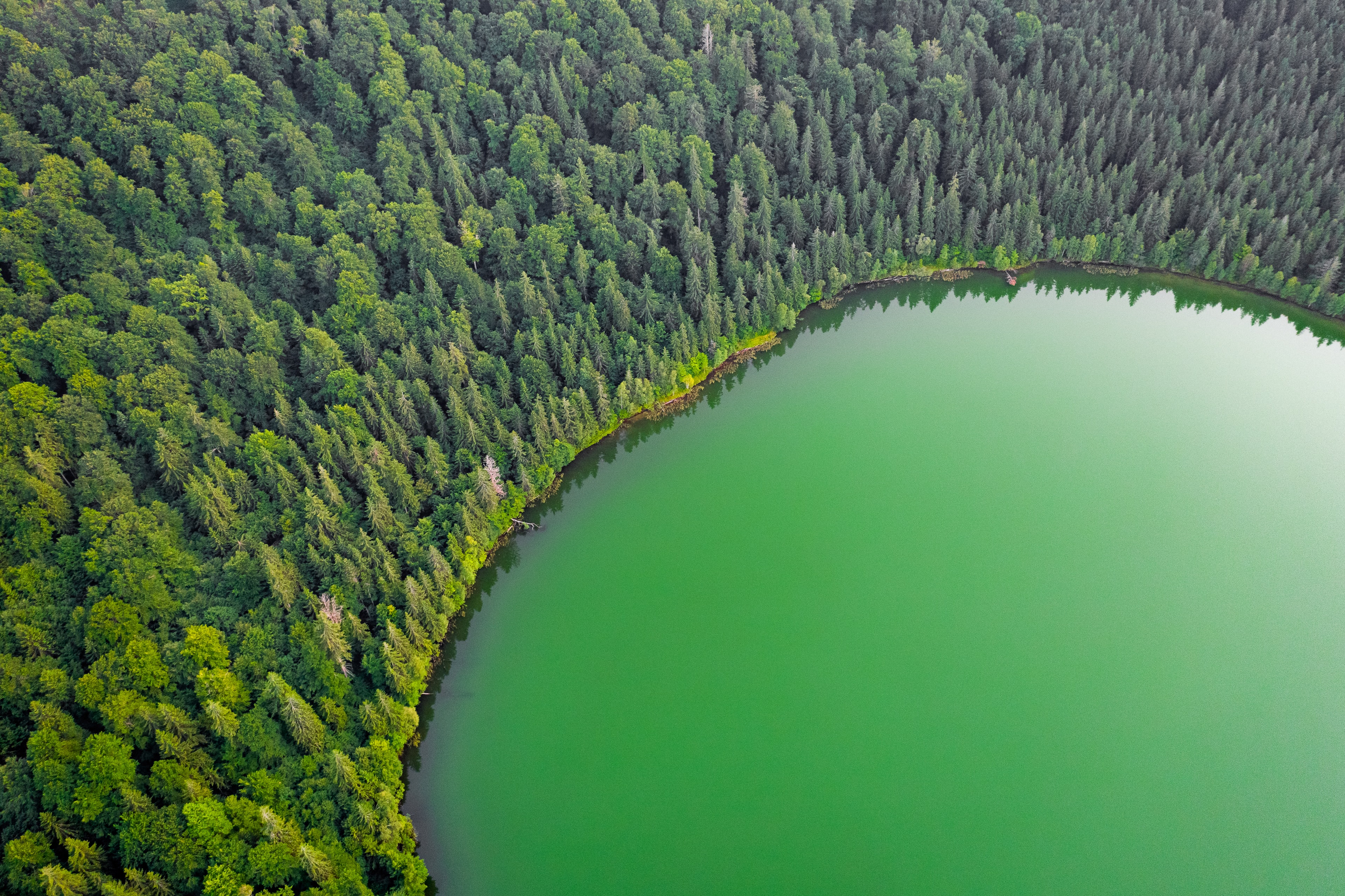 Скачать картинку Озеро, Лес, Зелень, Фотографии, Воздушный в телефон бесплатно.
