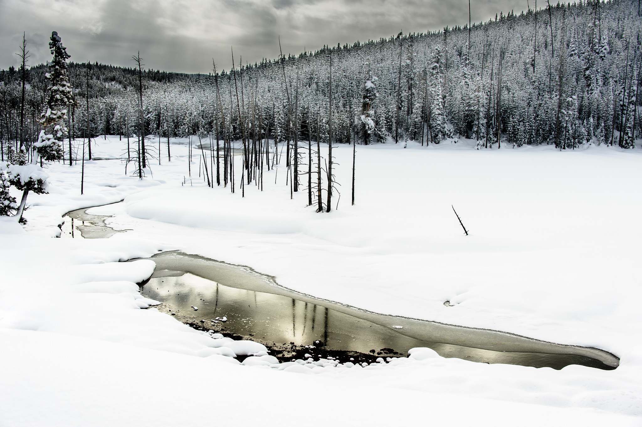 Скачать картинку Зима, Природа, Снег, Лес, Ландшафт, Земля/природа в телефон бесплатно.