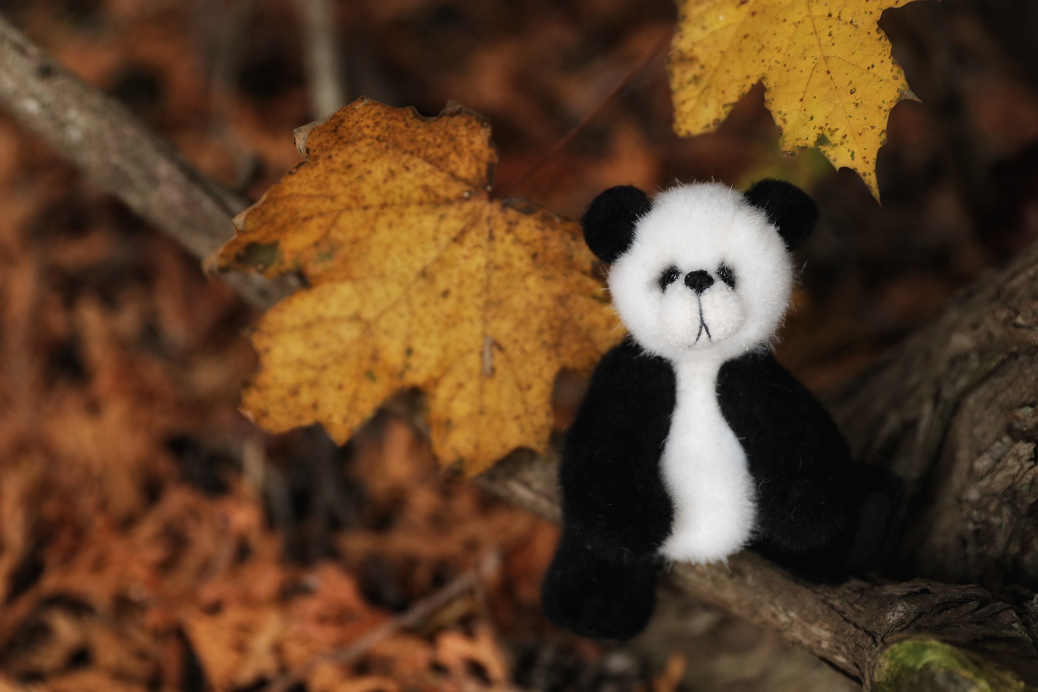 Download mobile wallpaper Toy, Leaf, Fall, Panda, Man Made, Stuffed Animal for free.