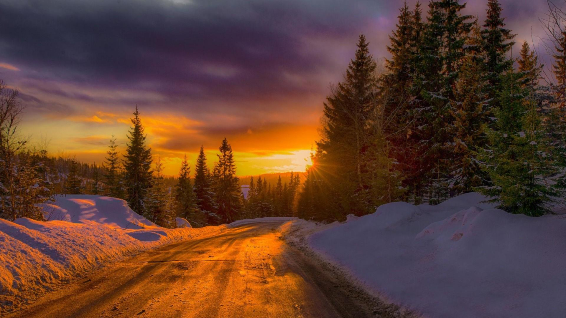 Download mobile wallpaper Winter, Sunset, Sky, Snow, Road, Tree, Earth for free.