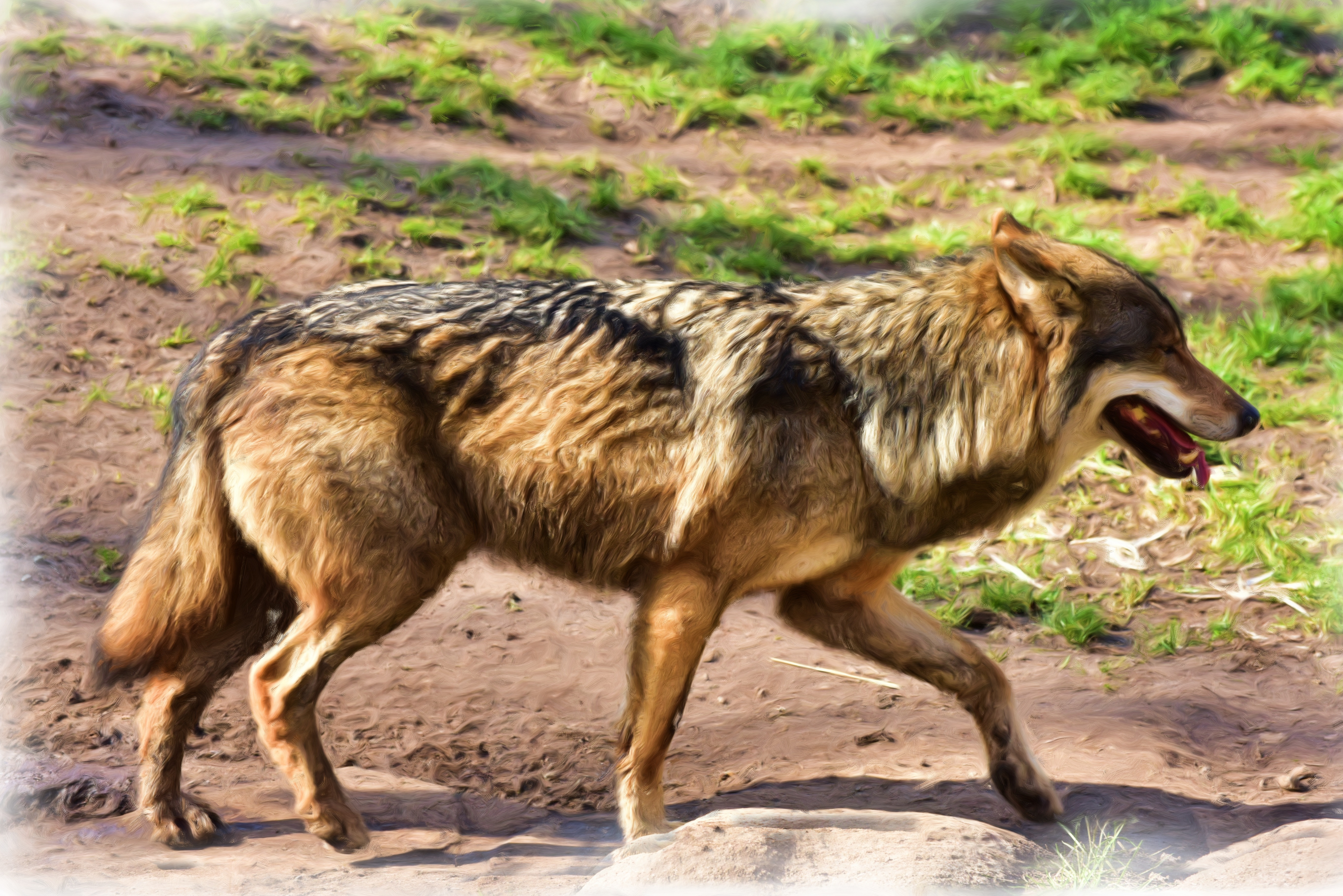 Baixar papel de parede para celular de Animais, Lobos, Lobo, Pintura, Pintura A Óleo gratuito.