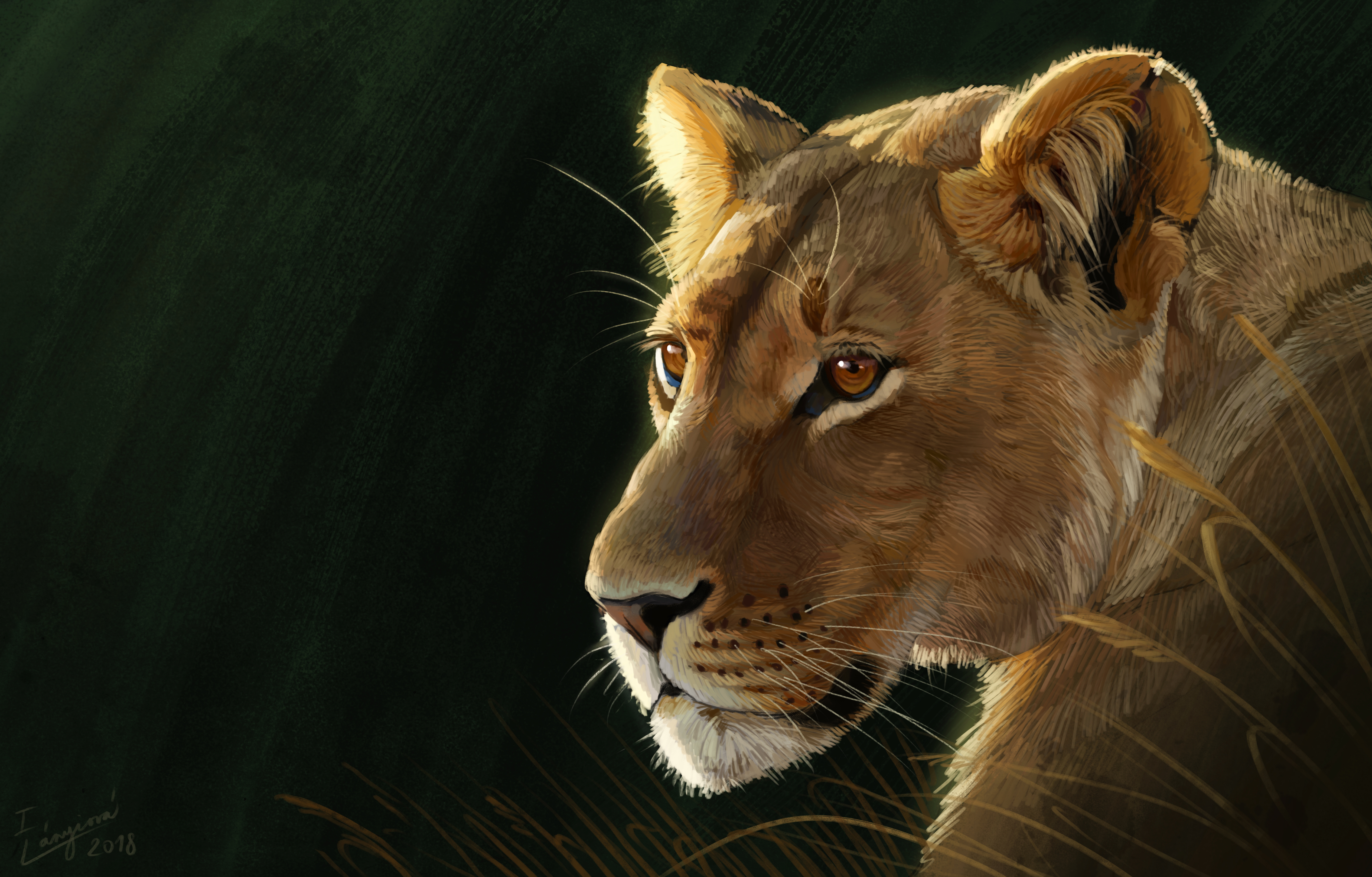 Lioness 1920 x 1080 HD Wallpaper