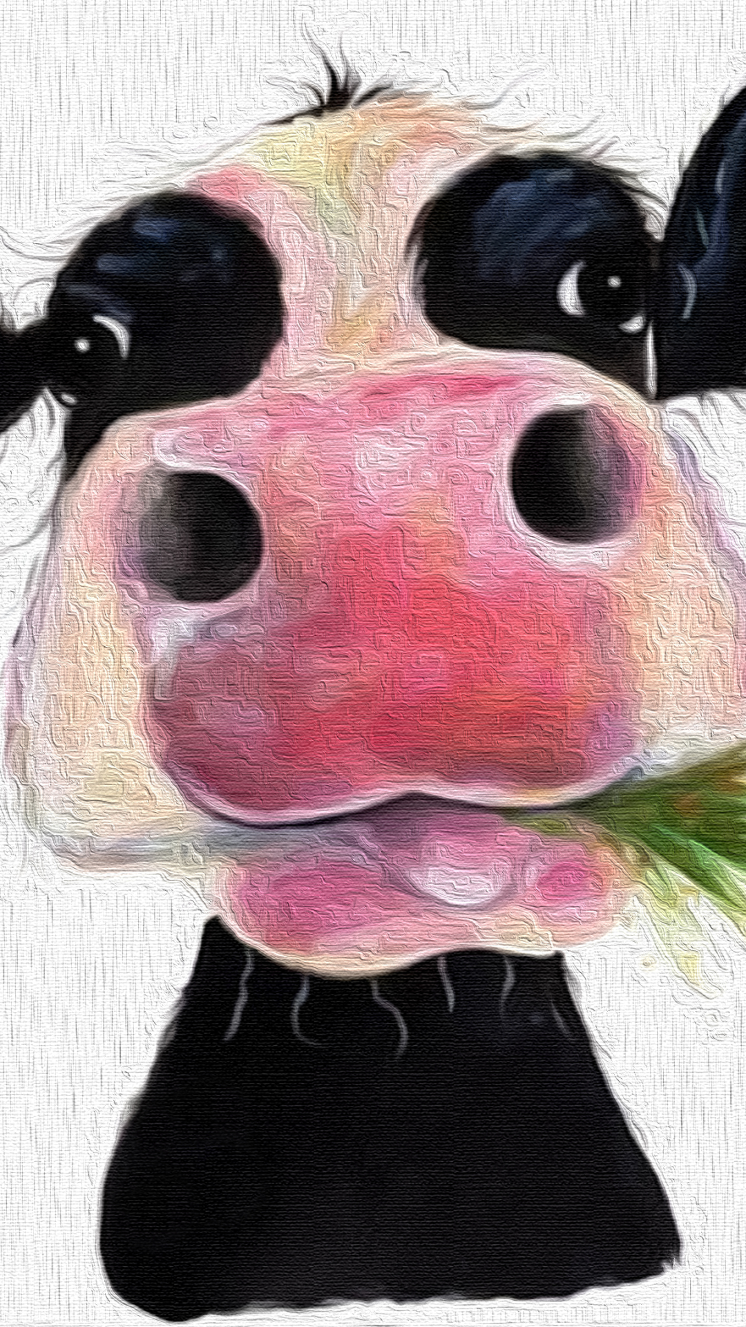 Téléchargez des papiers peints mobile Animaux, Vache gratuitement.