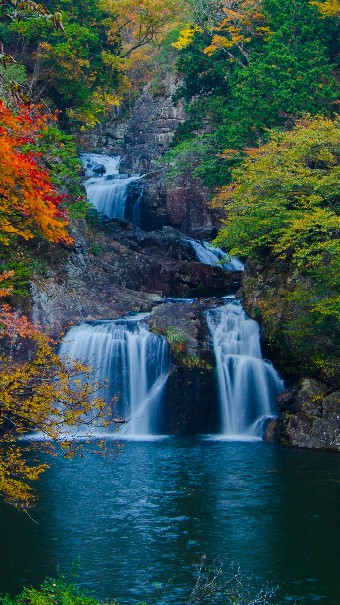 Скачать обои бесплатно Осень, Водопады, Водопад, Дерево, Земля, Пруд, Падать, Земля/природа картинка на рабочий стол ПК