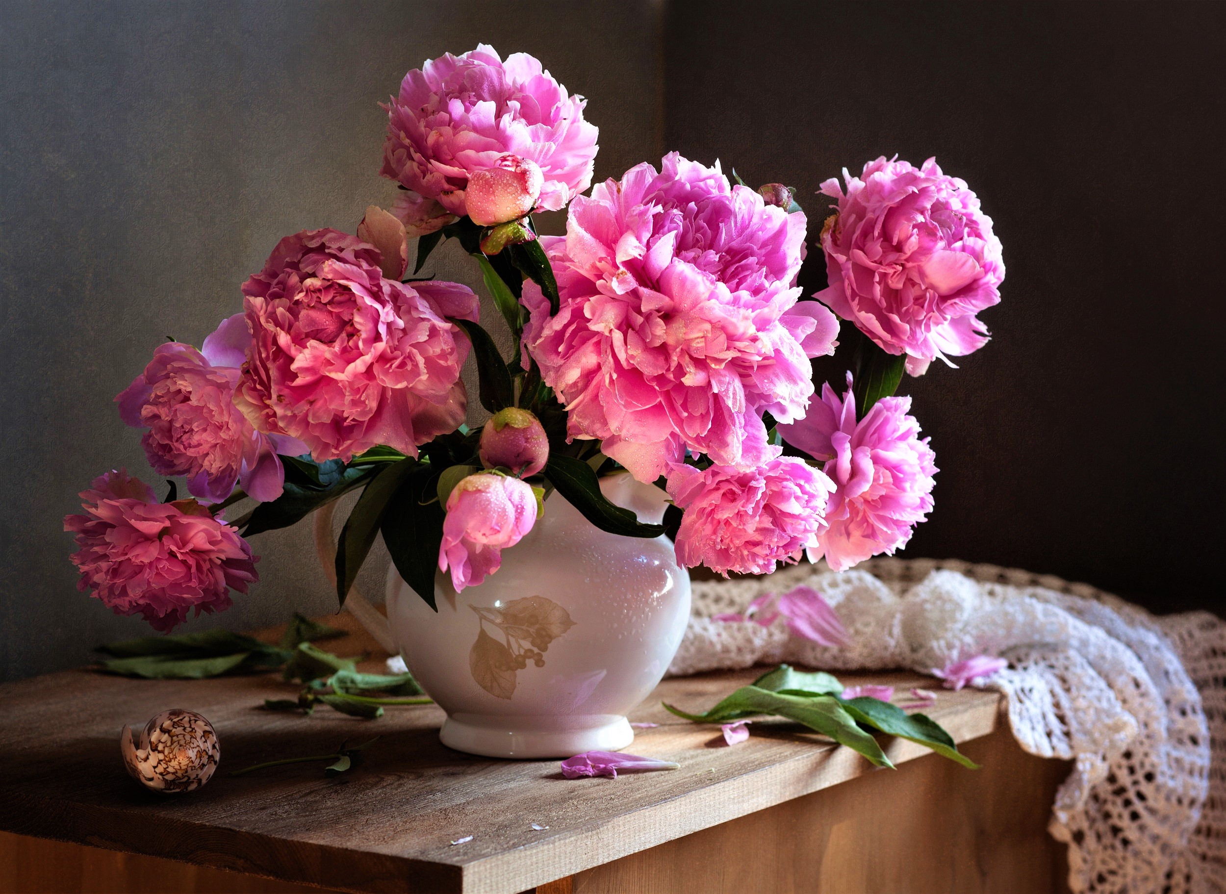 shell, peony, photography, still life, flower, pink flower, scarf, vase