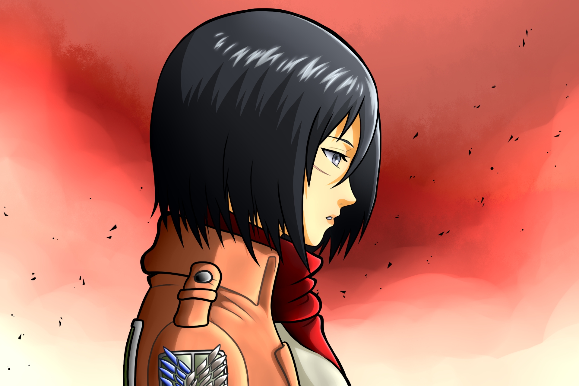 Baixe gratuitamente a imagem Anime, Mikasa Ackerman, Shingeki No Kyojin, Ataque Dos Titãs na área de trabalho do seu PC