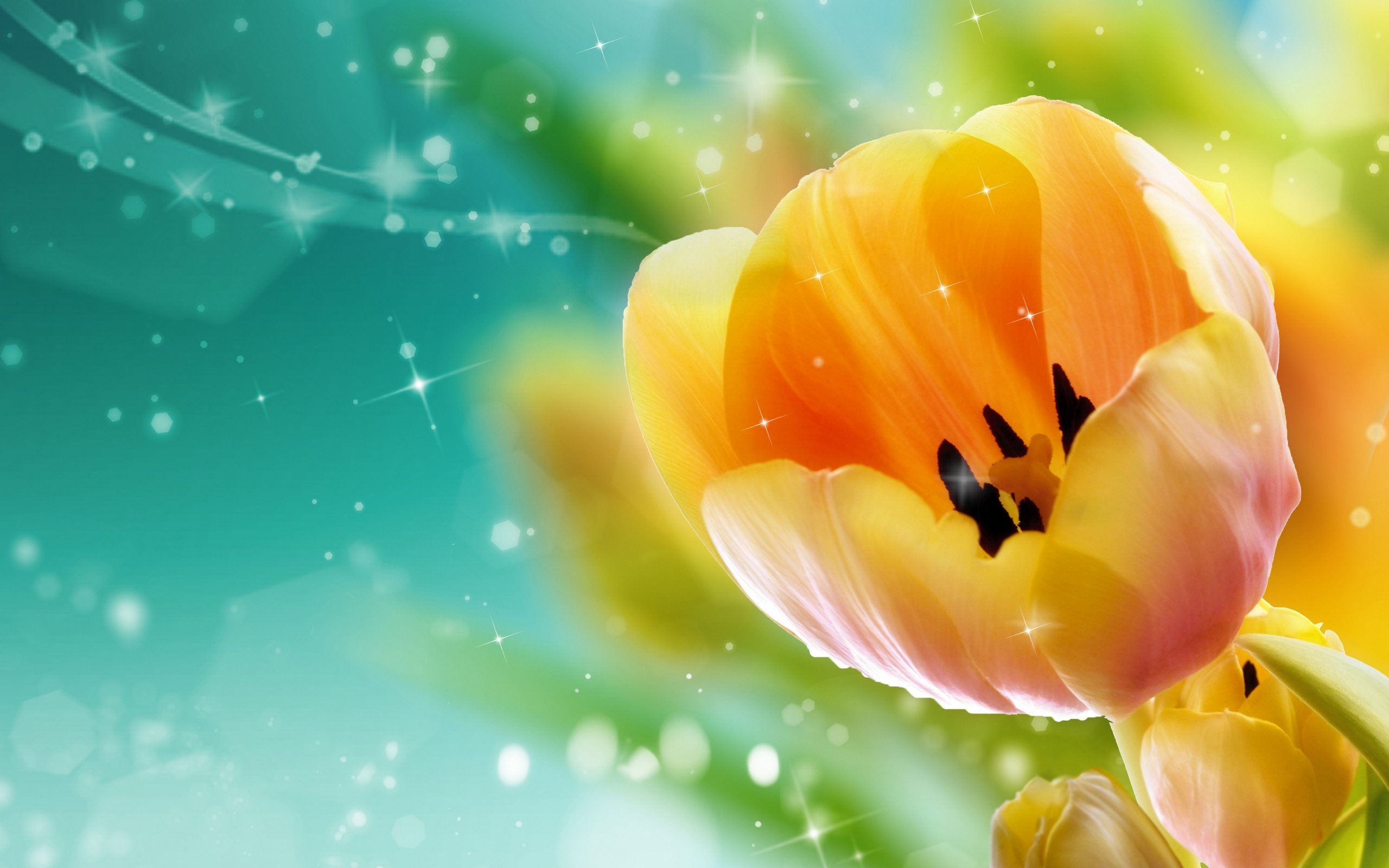 Free download wallpaper Flowers, Flower, Artistic, Tulip on your PC desktop