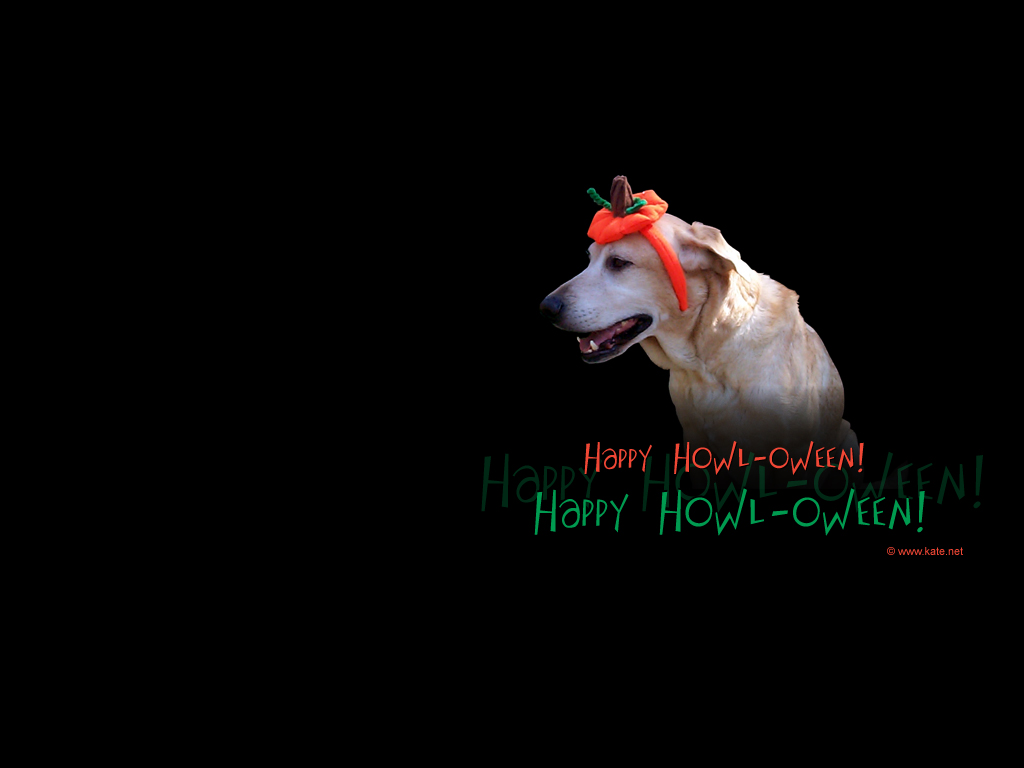 Скачать обои бесплатно Собака, Хэллоуин, Праздничные картинка на рабочий стол ПК