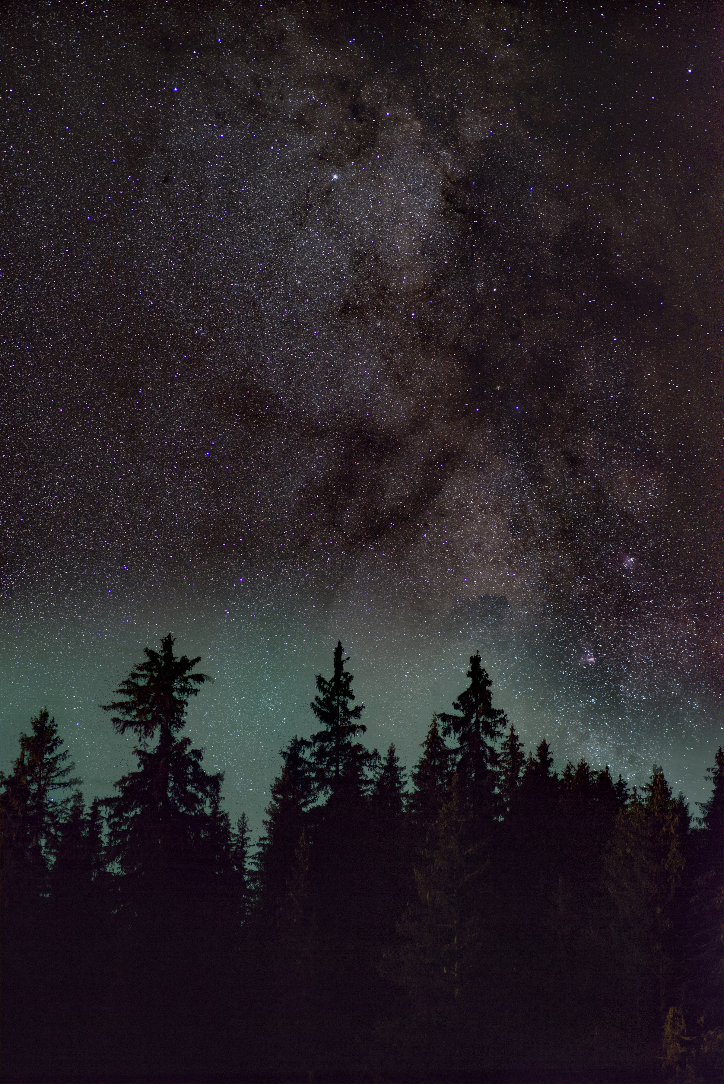 Download mobile wallpaper Spruce, Fir, Stars, Trees, Starry Sky, Nature, Nebula, Night for free.