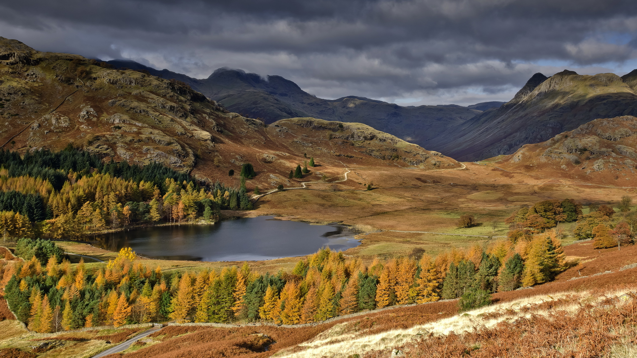 Handy-Wallpaper Landschaft, Erde/natur kostenlos herunterladen.