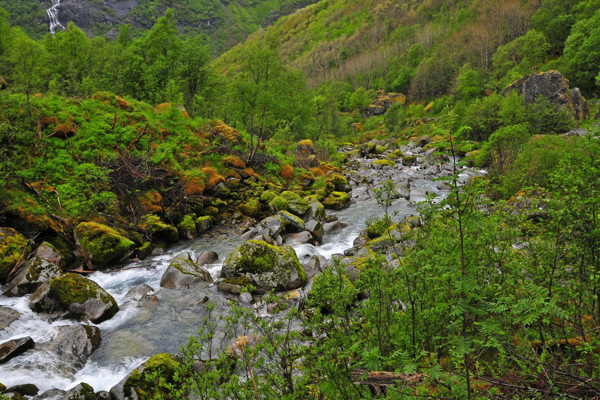 Laden Sie das Landschaft, Wald, Fluss, Moos, Gebirge, Szene, Erde/natur-Bild kostenlos auf Ihren PC-Desktop herunter
