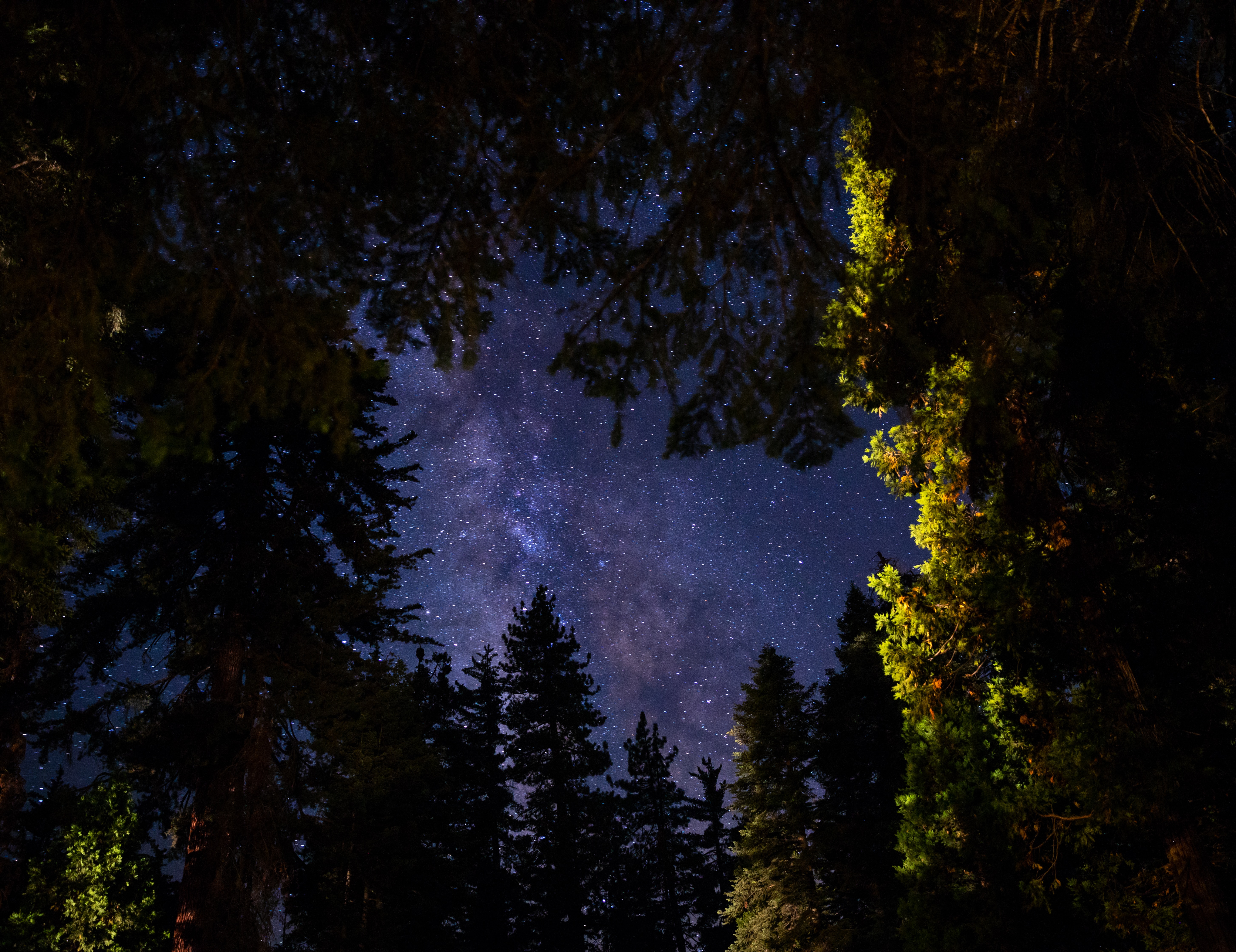 Download mobile wallpaper Stars, Trees, Sky, Night, Dark for free.