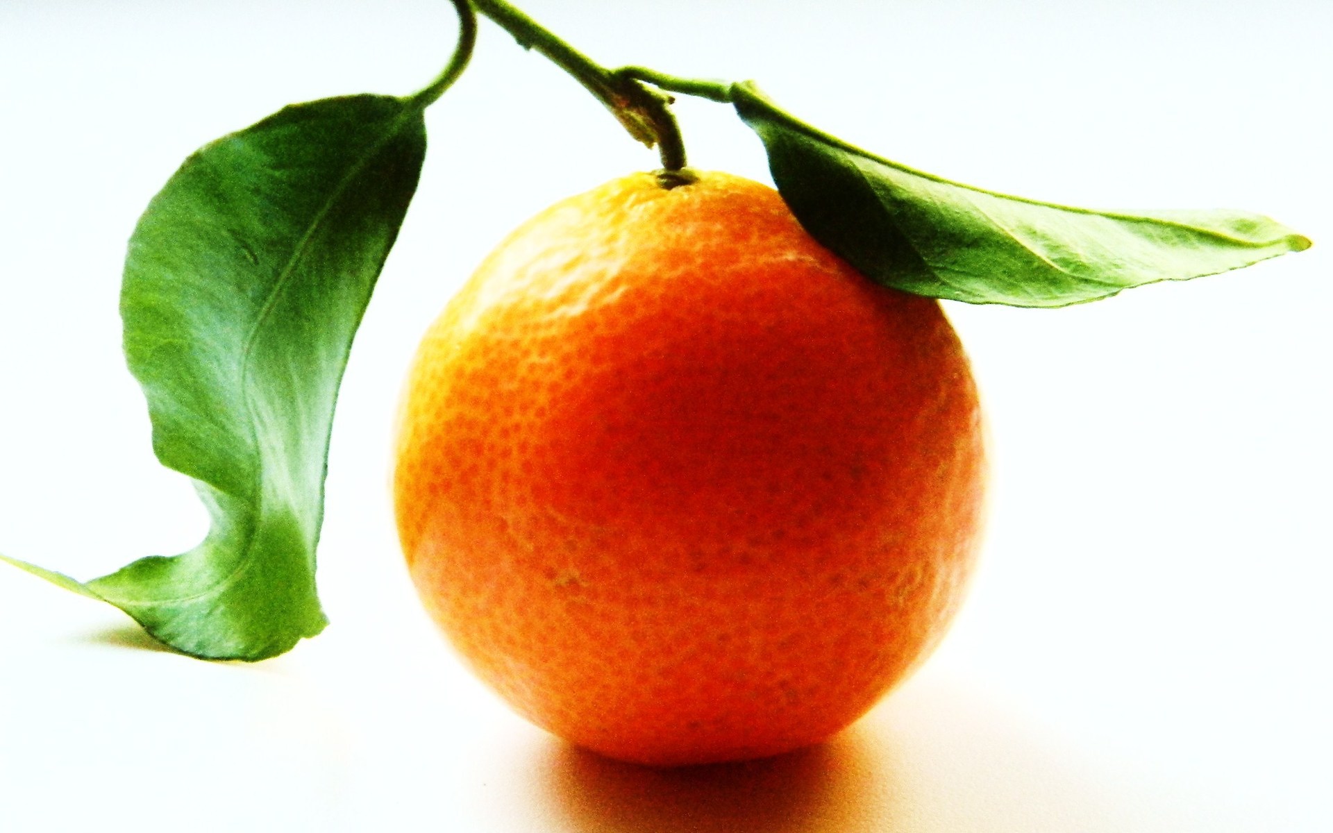 PCデスクトップにオレンジ, 果物, 食べ物画像を無料でダウンロード
