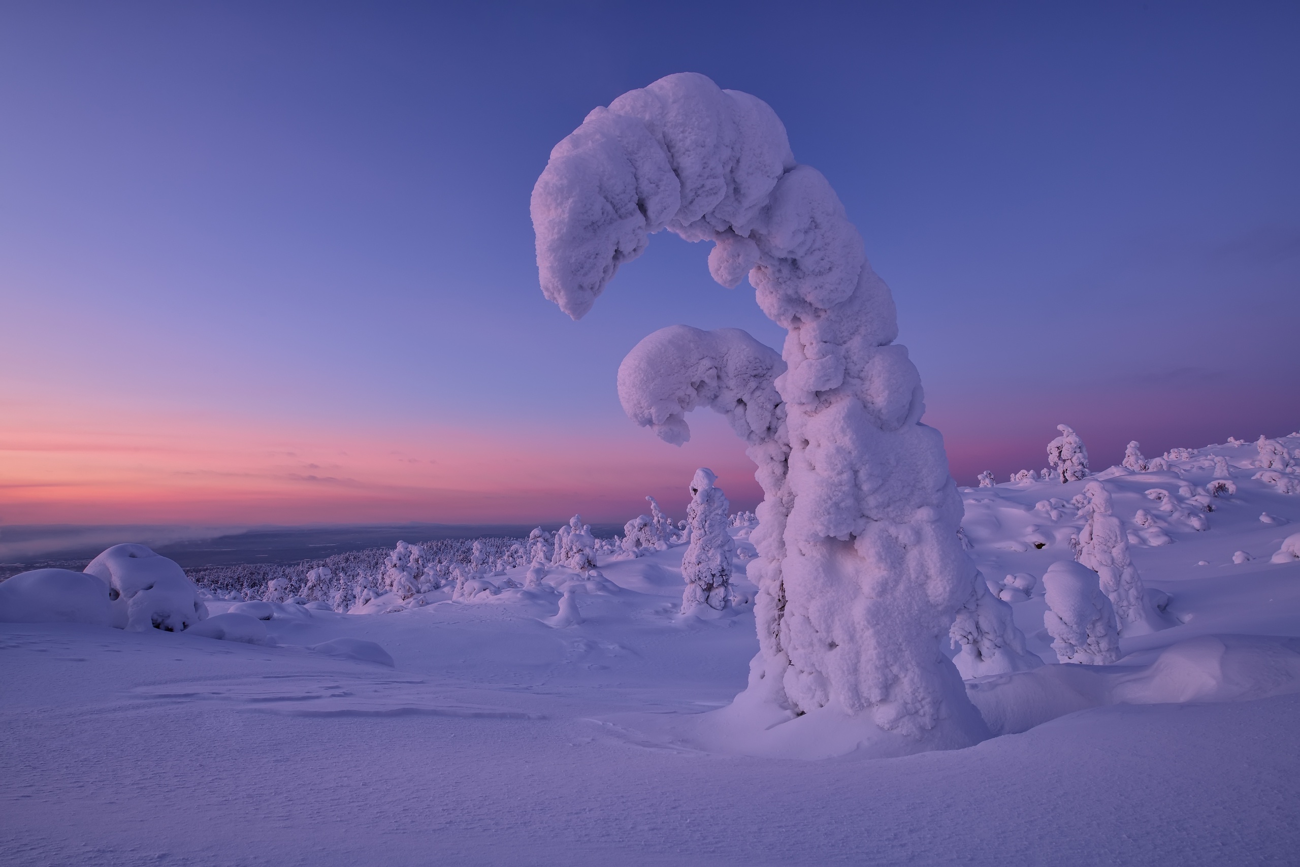 Скачать обои бесплатно Зима, Природа, Закат, Снег, Ландшафт, Земля/природа картинка на рабочий стол ПК