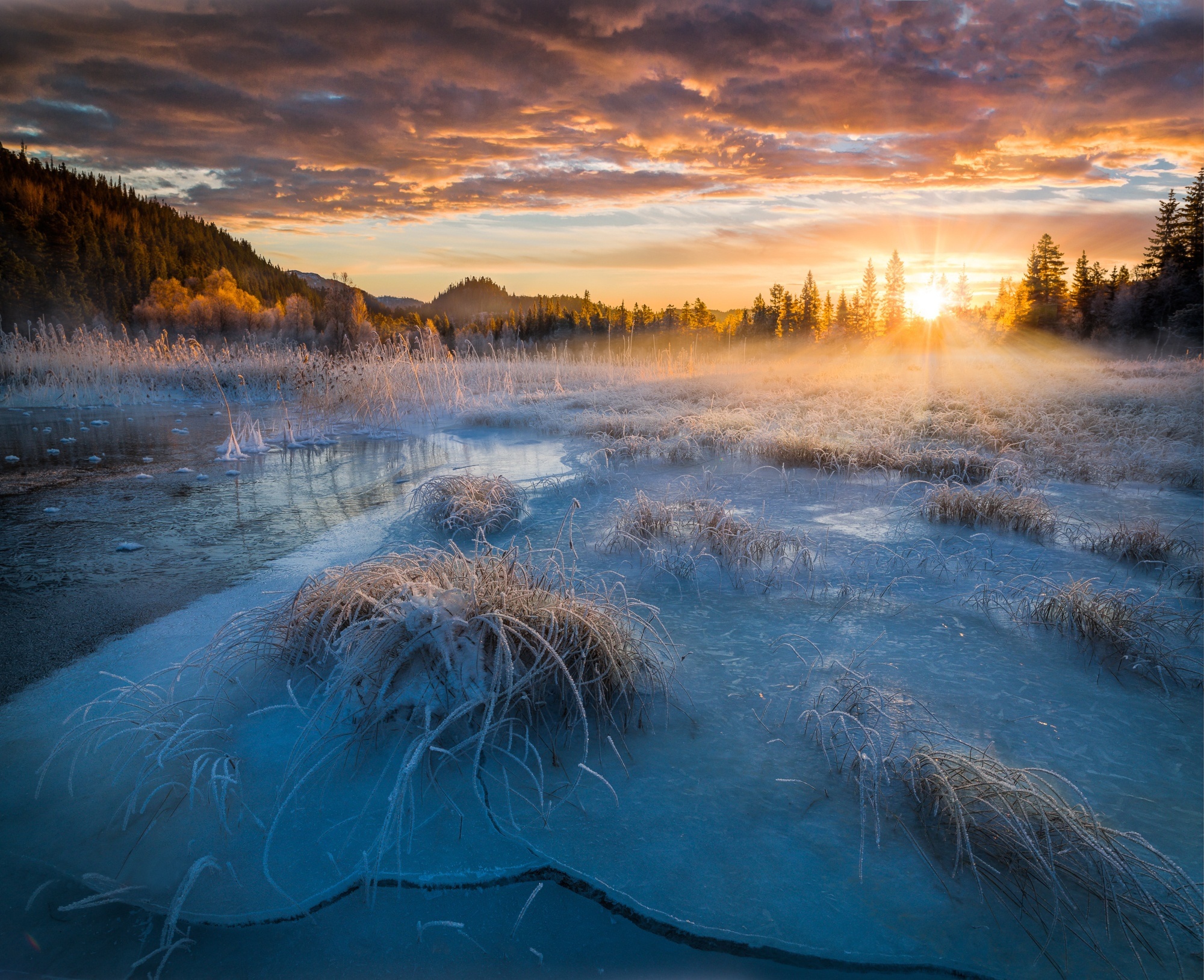 Descarga gratis la imagen Paisaje, Invierno, Naturaleza, Rayo De Sol, Tierra/naturaleza, Frozen: El Reino Del Hielo en el escritorio de tu PC