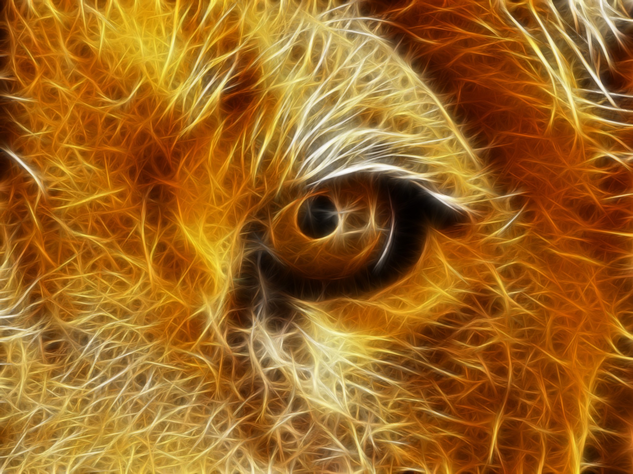 Free download wallpaper Cats, Lion, Animal on your PC desktop