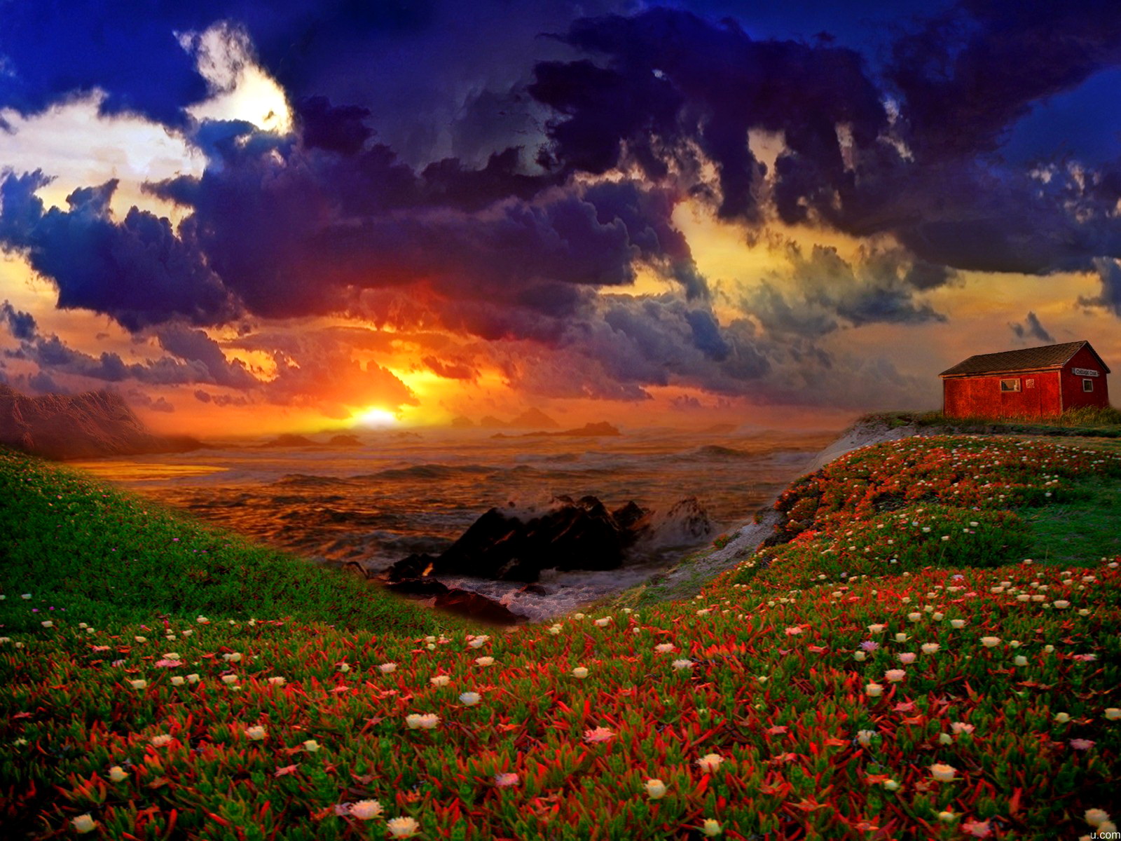 Free download wallpaper Sunset, Sun, Horizon, Flower, Ocean, House, Photography on your PC desktop