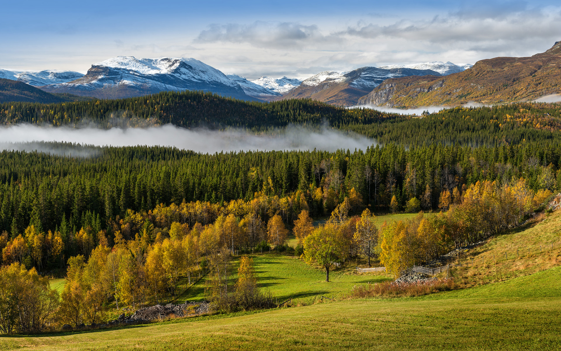 Handy-Wallpaper Landschaft, Natur, Herbst, Wald, Nebel, Gebirge, Erde/natur kostenlos herunterladen.