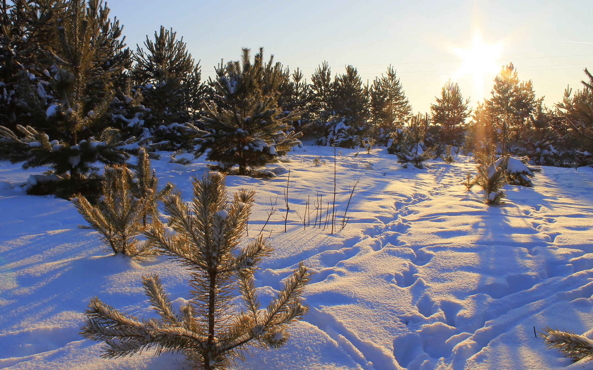 Descarga gratis la imagen Invierno, Tierra/naturaleza en el escritorio de tu PC