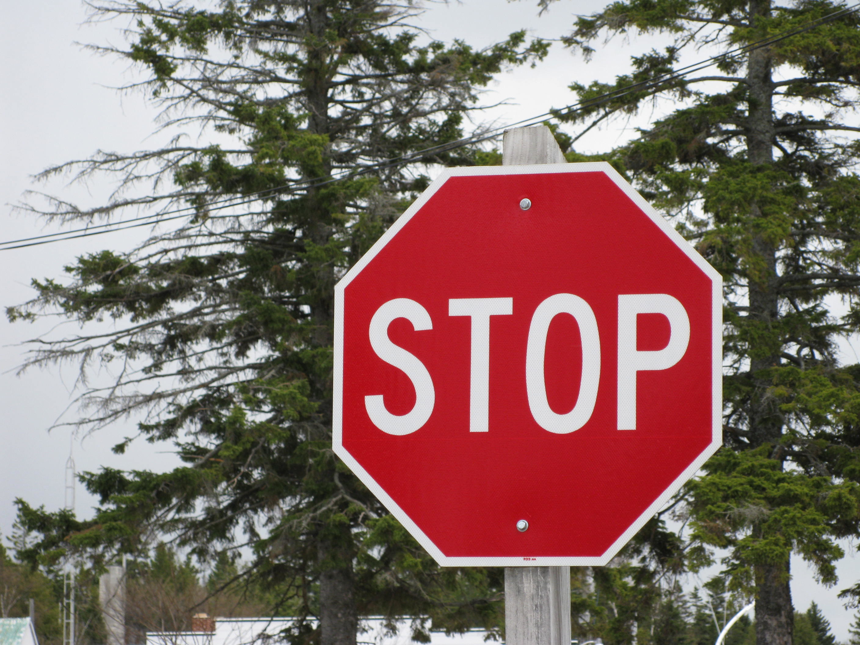 words, text, stop, road sign, traffic sign