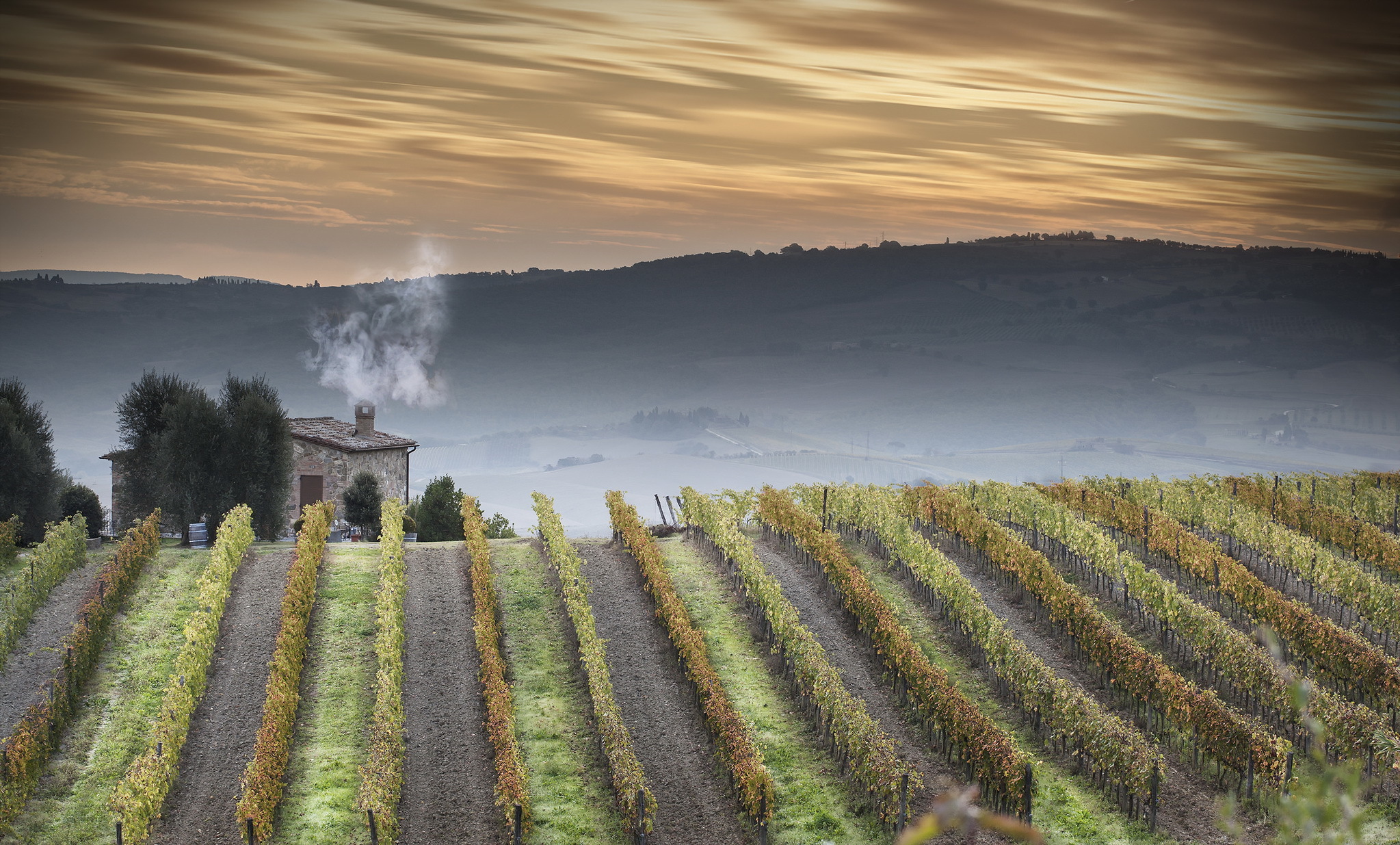 Download mobile wallpaper Landscape, Nature, Italy, Vineyard, Tuscany, Man Made for free.
