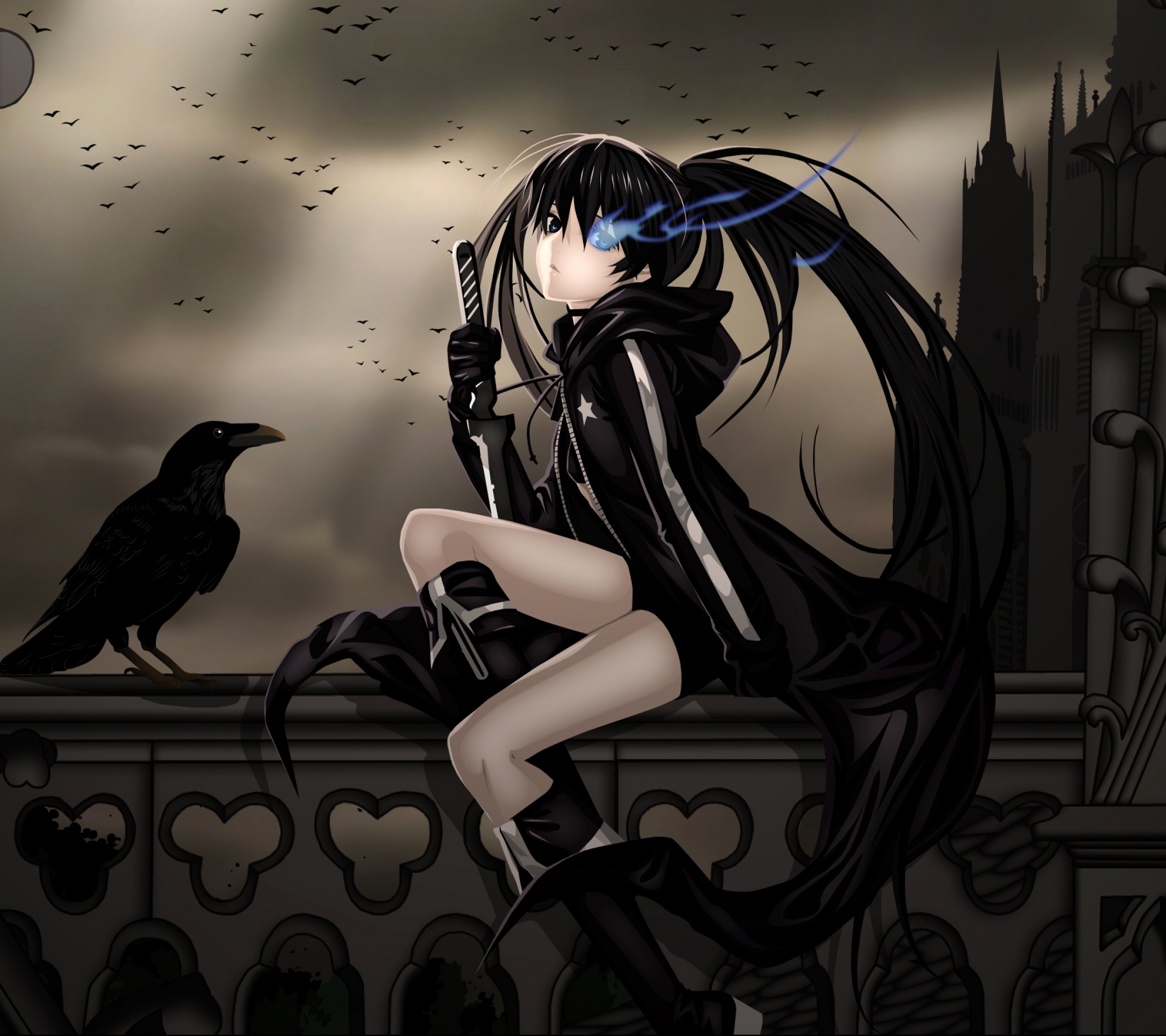 Free download wallpaper Anime, Black Rock Shooter, Bird, Raven, Crow, Blue Eyes on your PC desktop