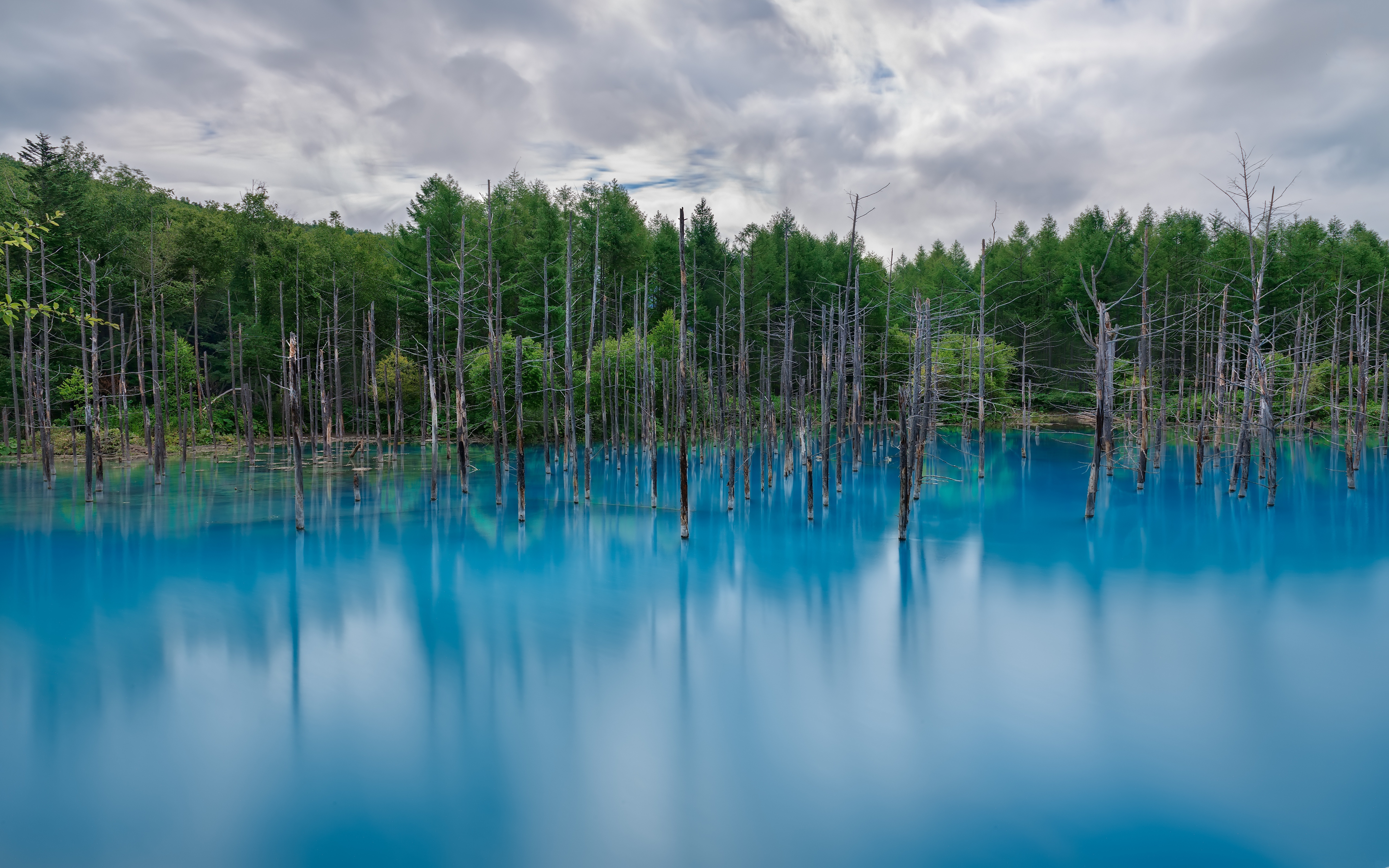 Free download wallpaper Lakes, Lake, Forest, Earth on your PC desktop