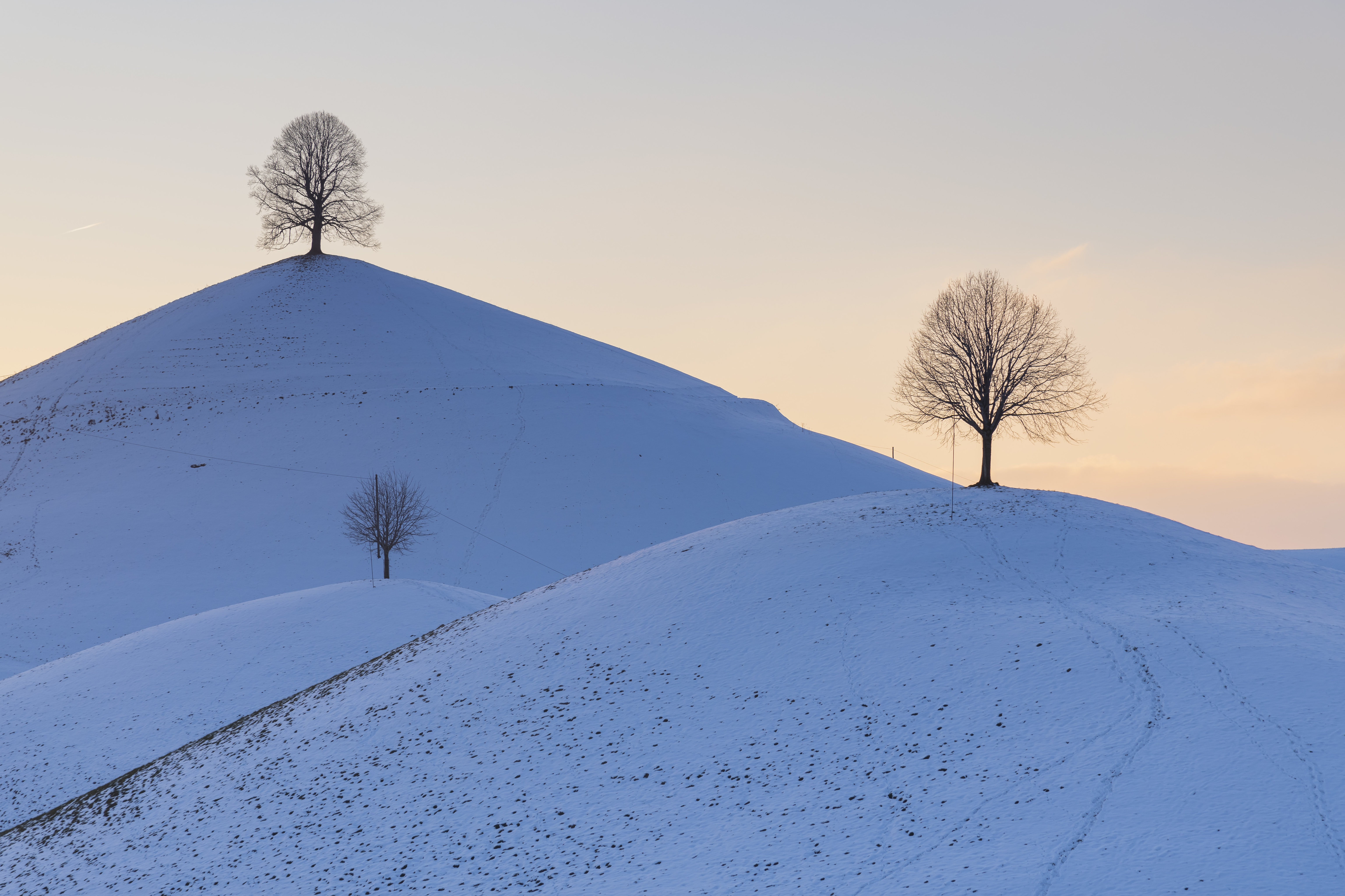 無料モバイル壁紙自然, 木, 丘, 雪, 冬をダウンロードします。