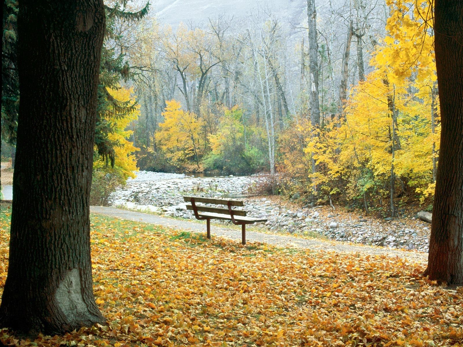 Скачать обои бесплатно Скамейка, Монтана, Природа, Деревья, Парк, Осень картинка на рабочий стол ПК
