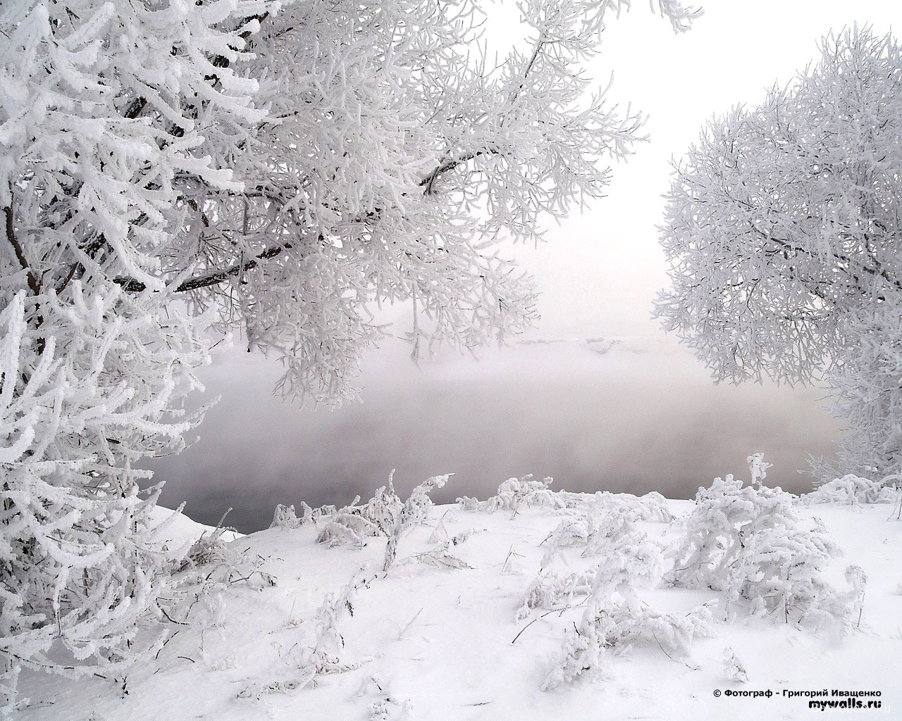 Скачать картинку Снег, Деревья, Пейзаж, Зима в телефон бесплатно.