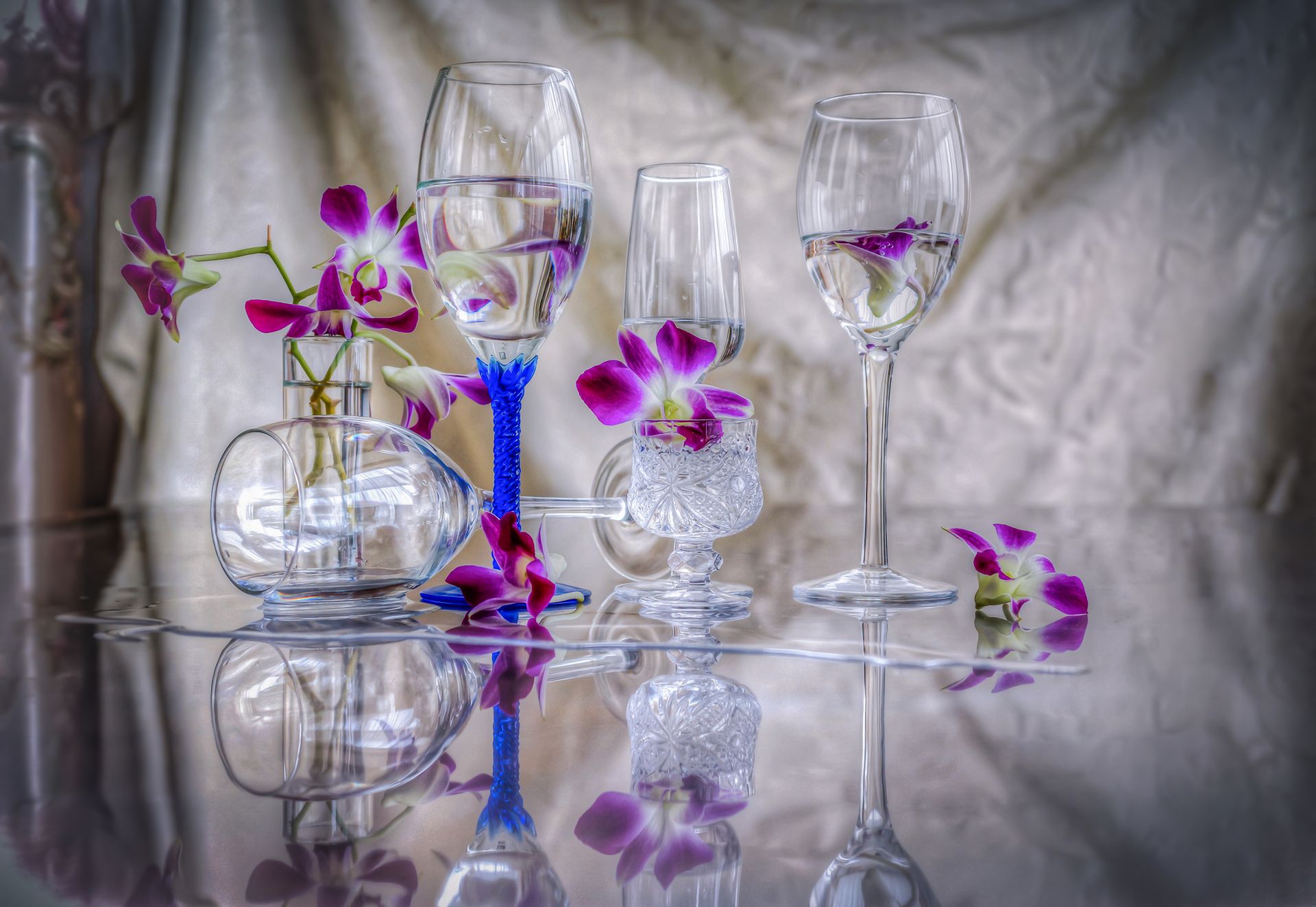 Download mobile wallpaper Still Life, Reflection, Flower, Glass, Photography, Orchid, Purple Flower for free.