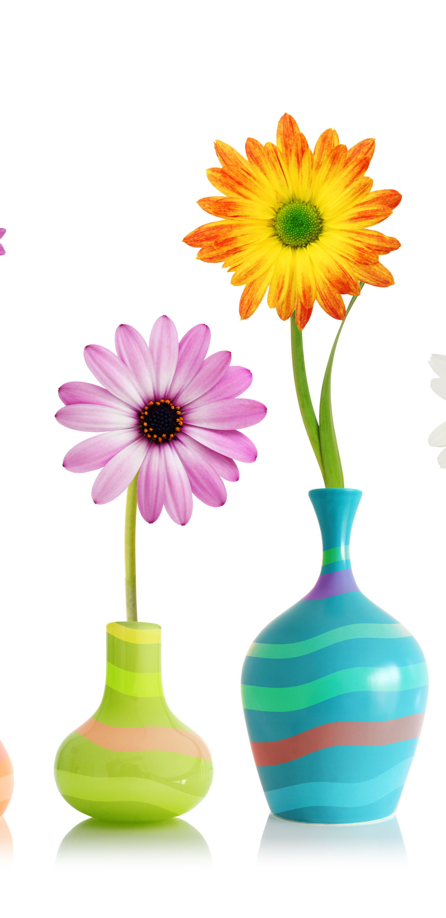 Handy-Wallpaper Blume, Vase, Gelbe Blume, Menschengemacht, Pinke Blume kostenlos herunterladen.