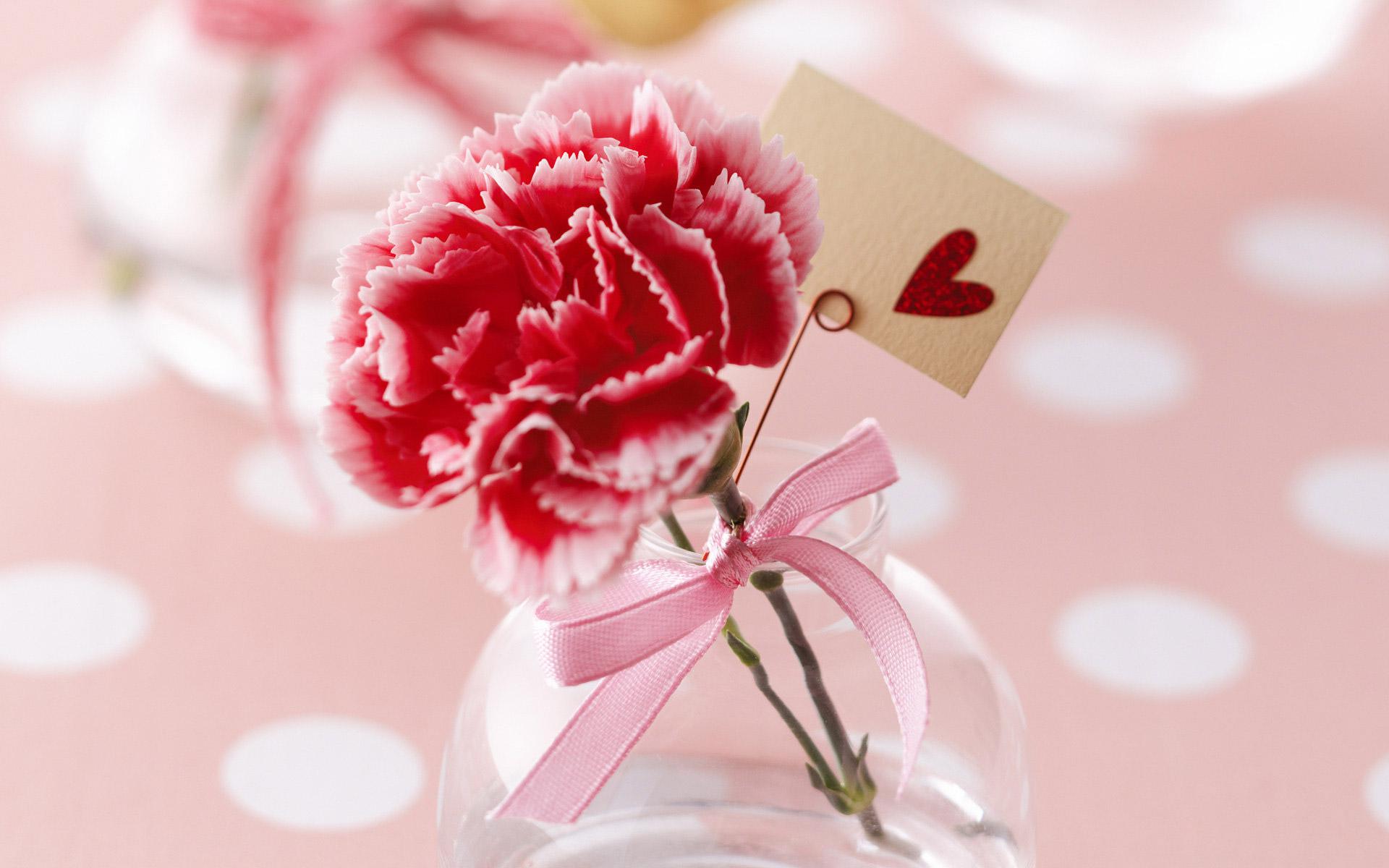 Скачать обои бесплатно Цветок, Сердце, Гвоздика, День Святого Валентина, Праздничные, Пинк картинка на рабочий стол ПК
