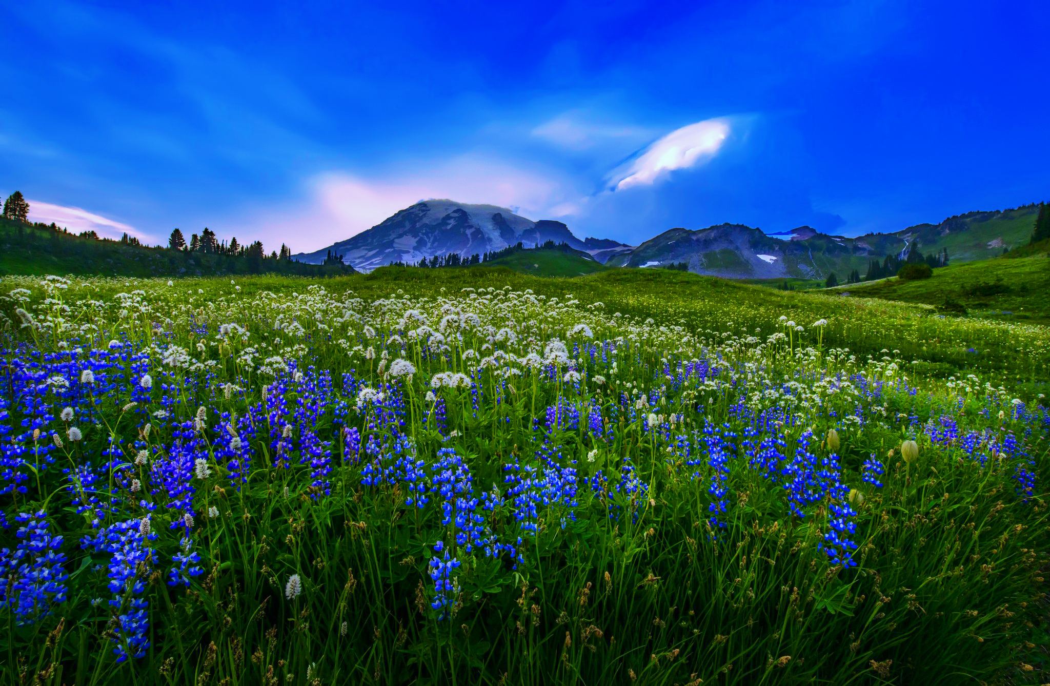 Download mobile wallpaper Landscape, Mountain, Flower, Earth, Field for free.