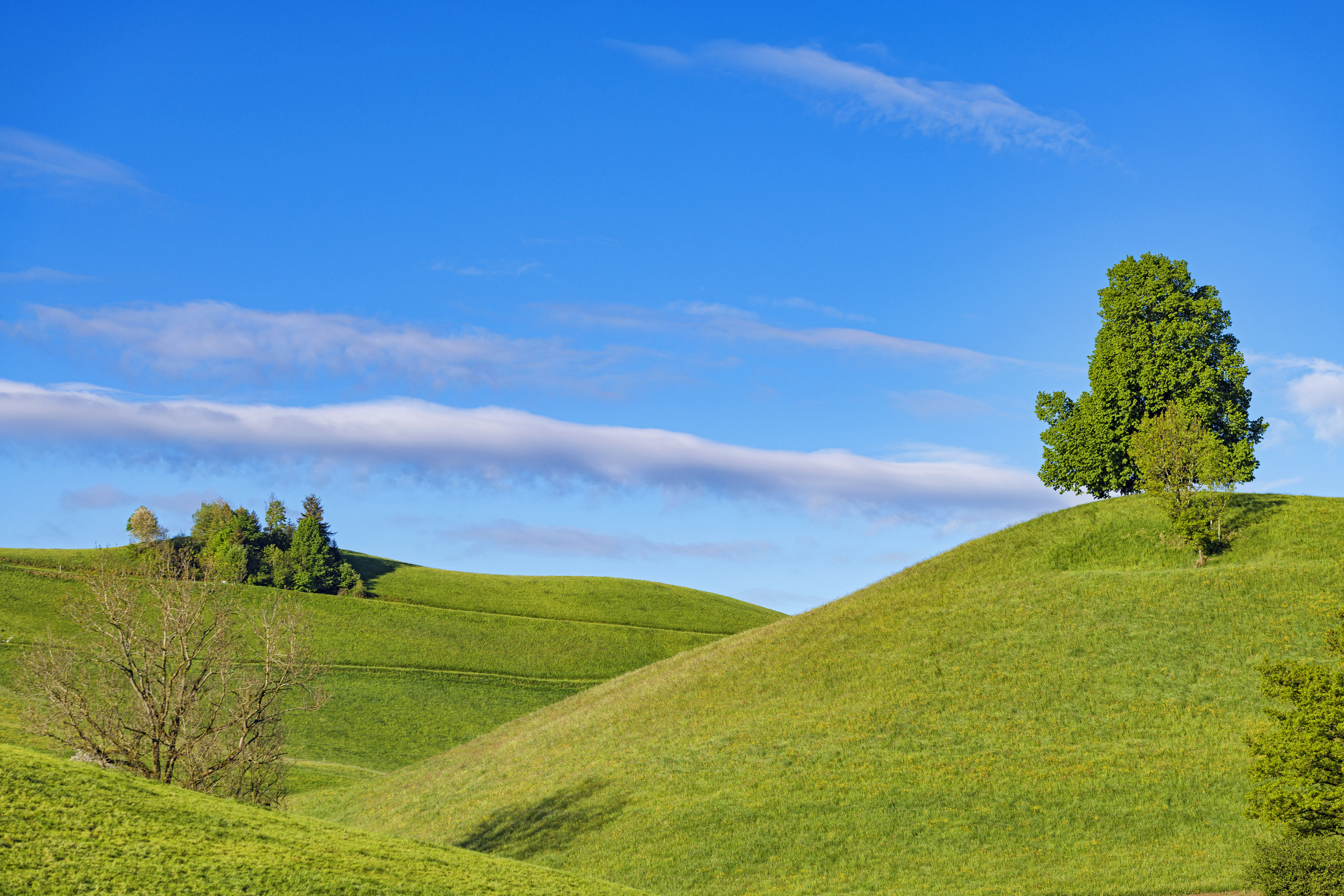 Download mobile wallpaper Grass, Slope, Sky, Nature, Hills, Minimalism for free.
