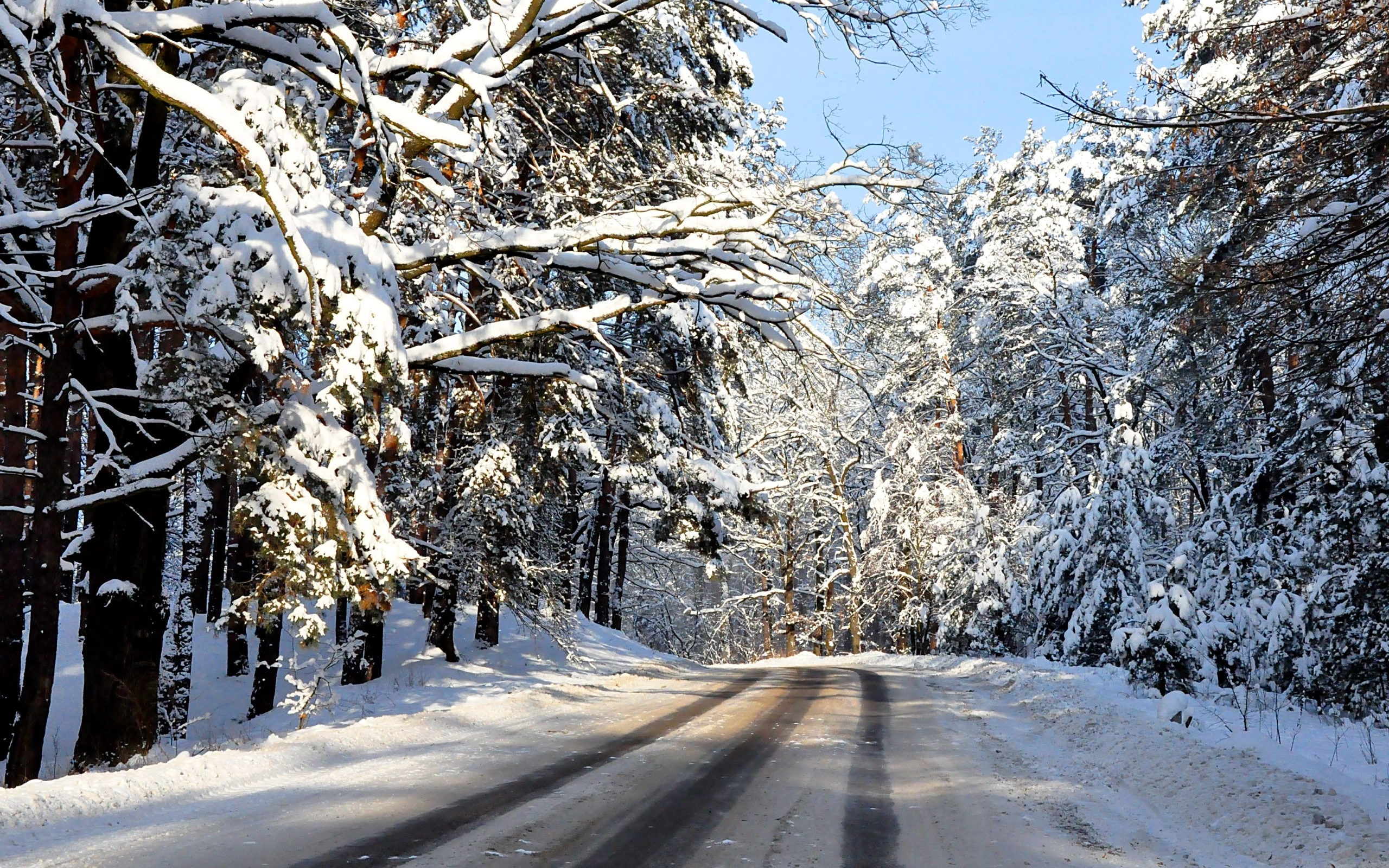 Free download wallpaper Winter, Nature, Trees, Snow, Landscape, Roads on your PC desktop