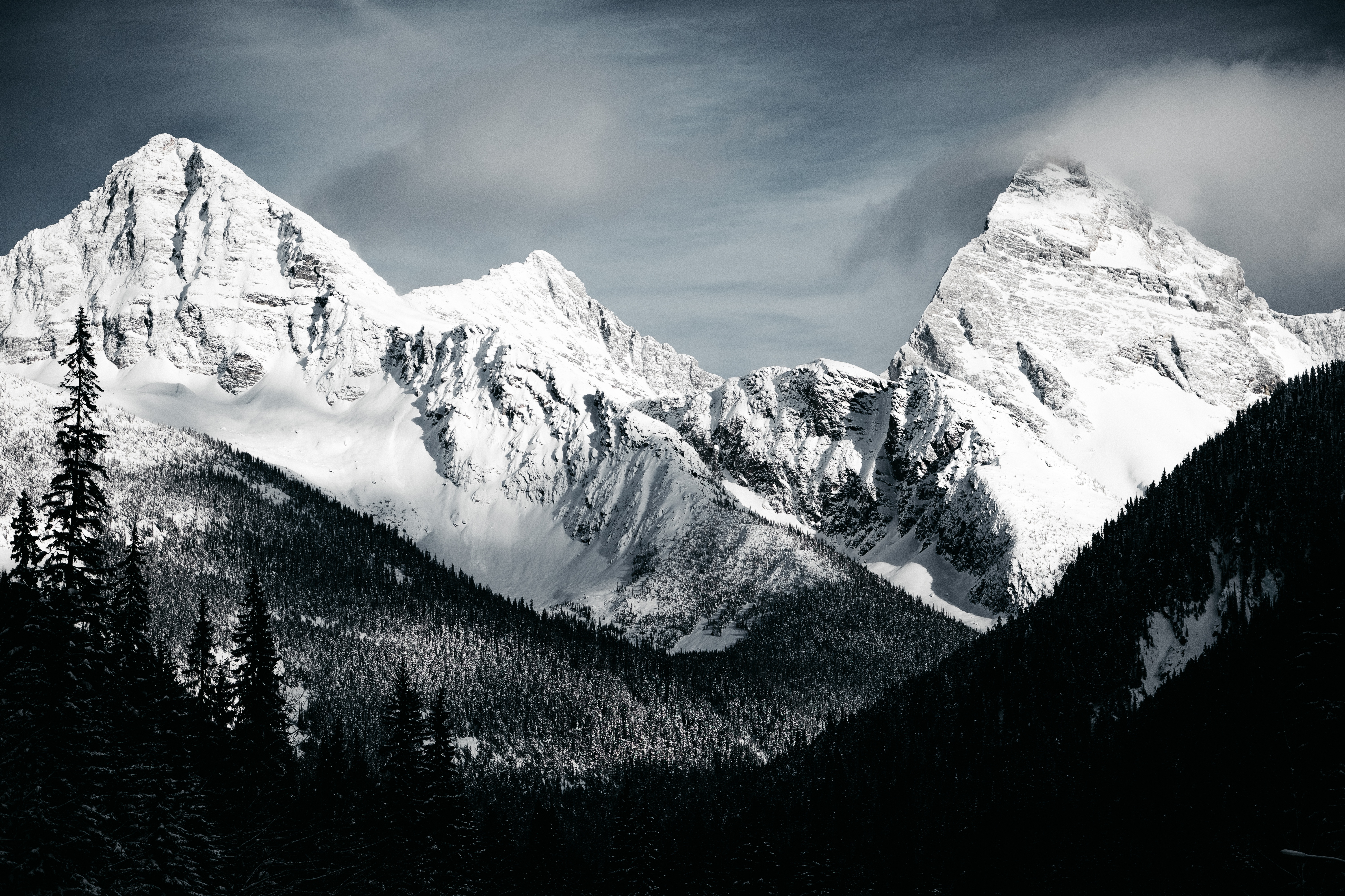 422733 завантажити картинку гори, земля, гора, чорний білий, ліс, природа, пік, сніг - шпалери і заставки безкоштовно